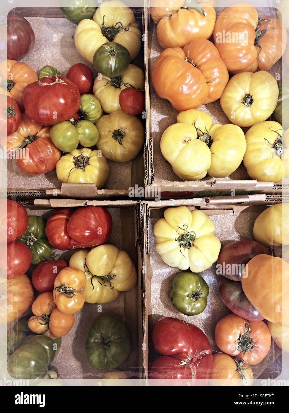 Heirloom tomatoes for sale - Smartphone Captured Stock Image