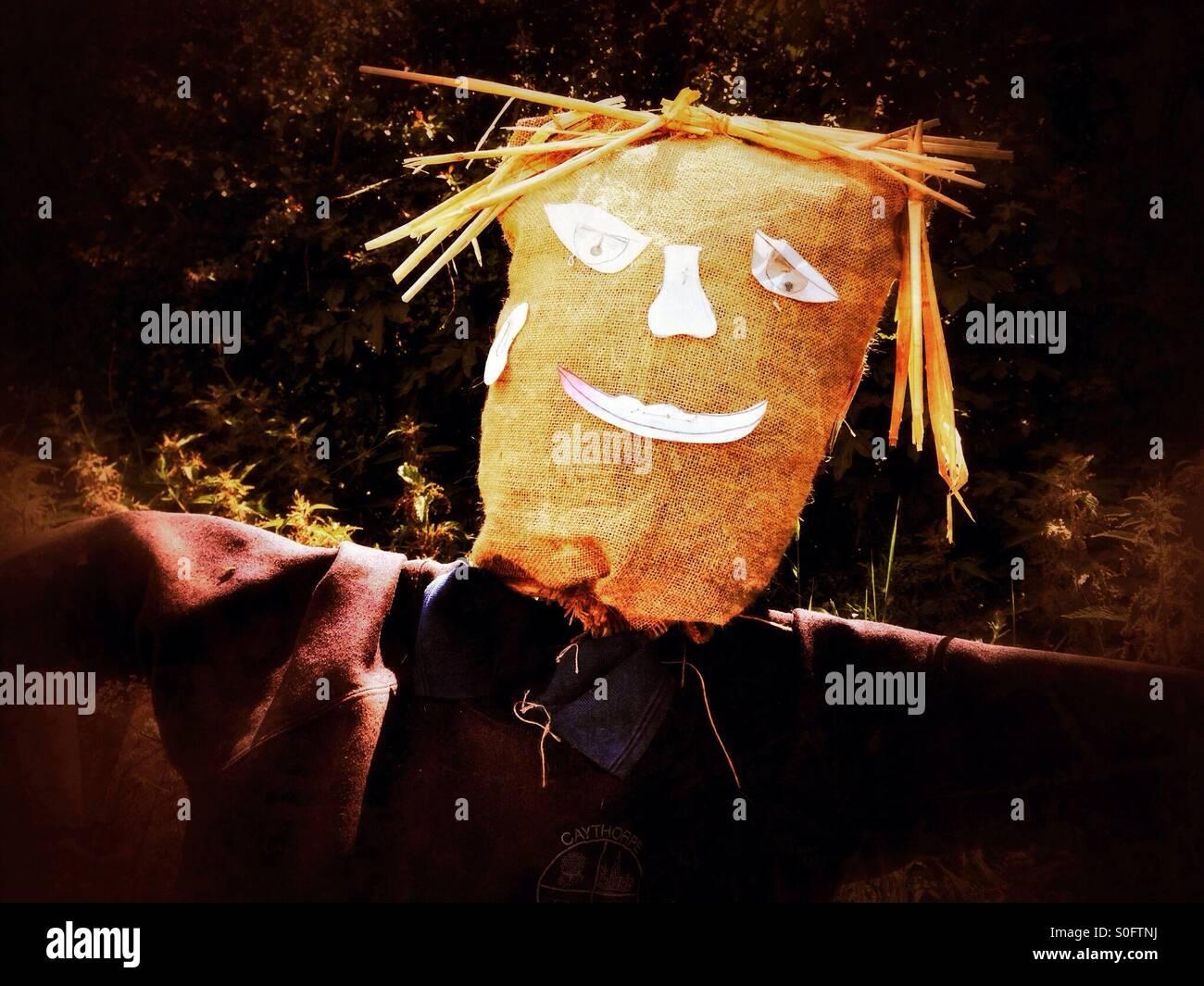 Scarecrow at the Caythorpe allotments, Lincolnshire, England. - Smartphone Captured Stock Image