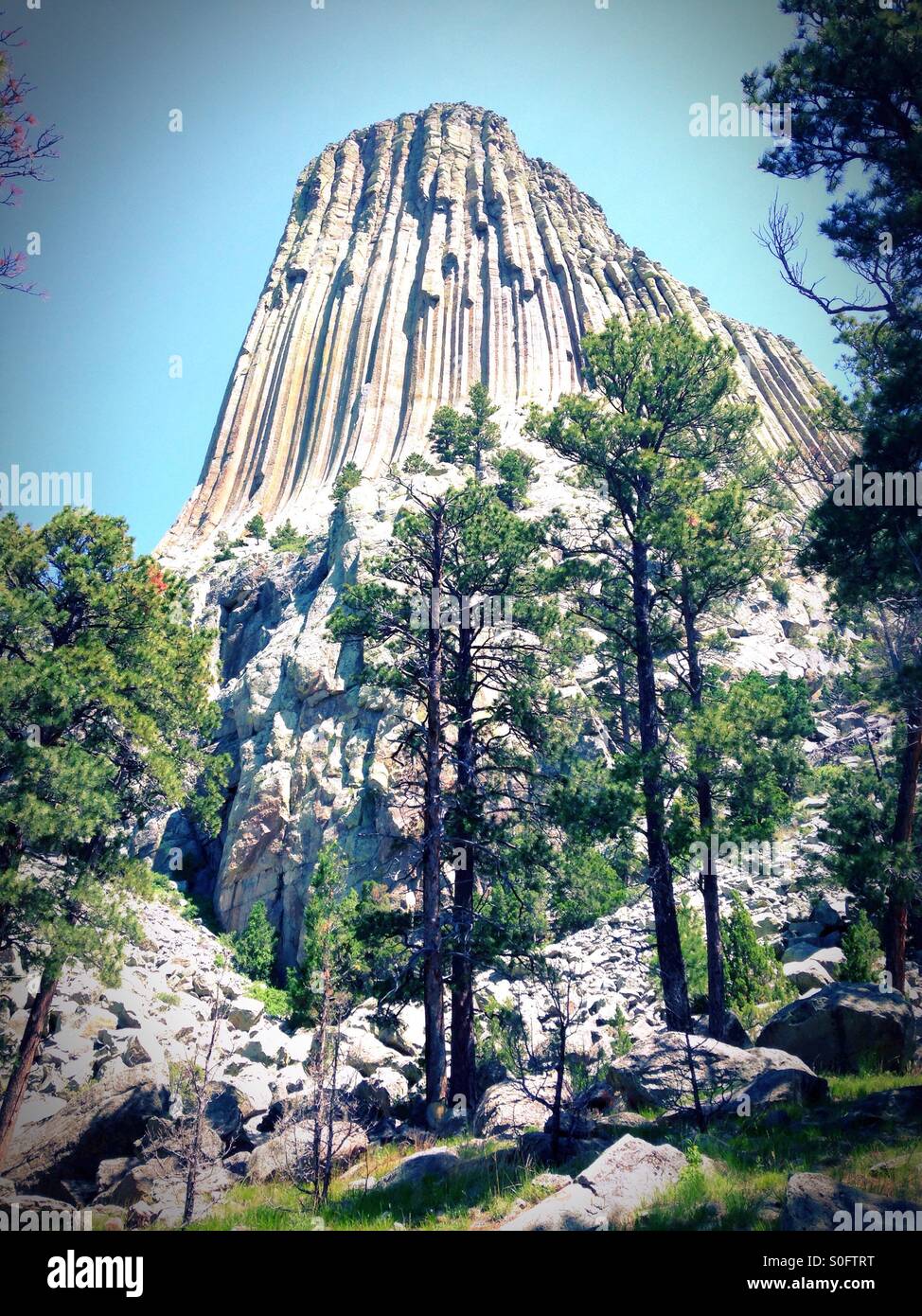 Devils tower in Wyoming Stock Photo Alamy