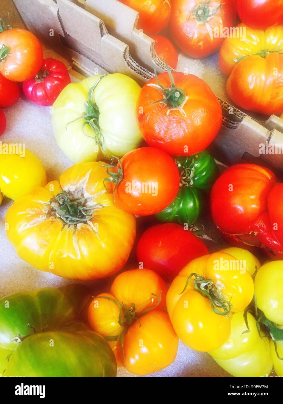 Heirloom tomatoes for sale in grocery store - Smartphone Captured Stock Image