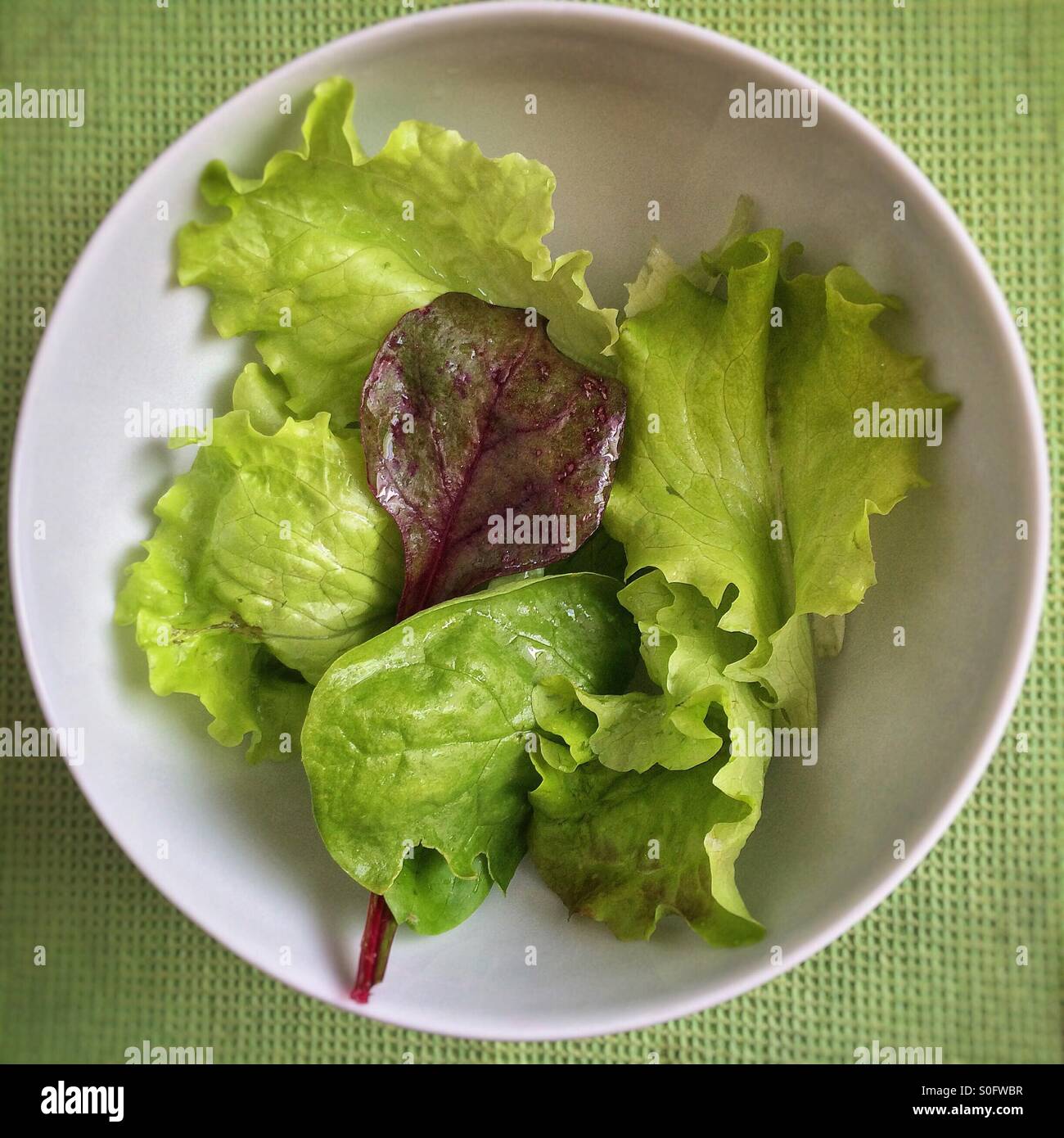 A bowl of mixed greens - Smartphone Captured Stock Image