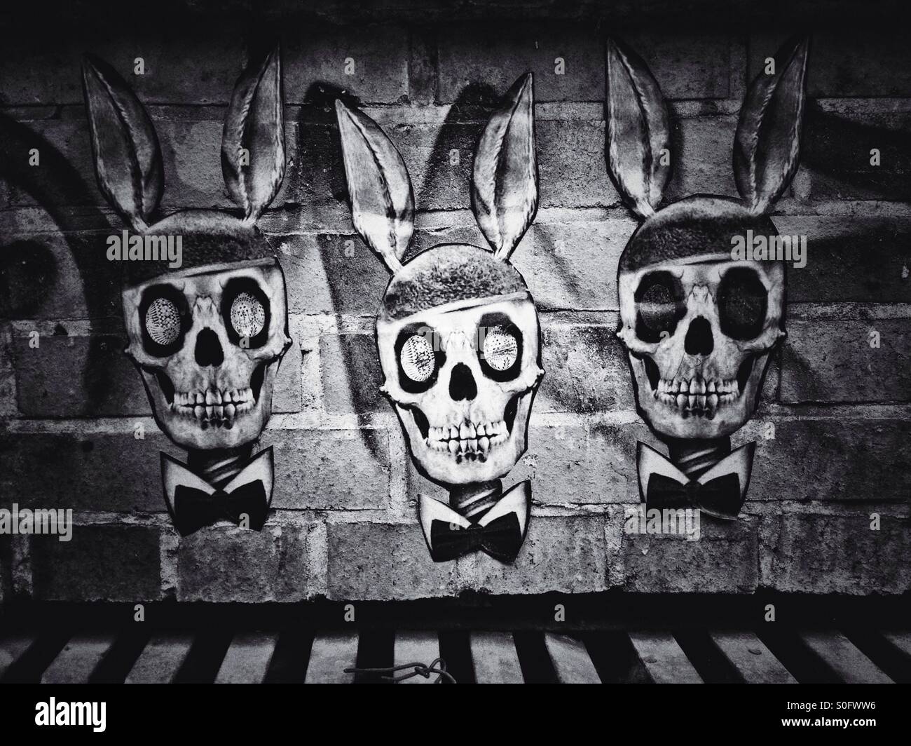 Skulls with bunny ears - Smartphone Captured Stock Image
