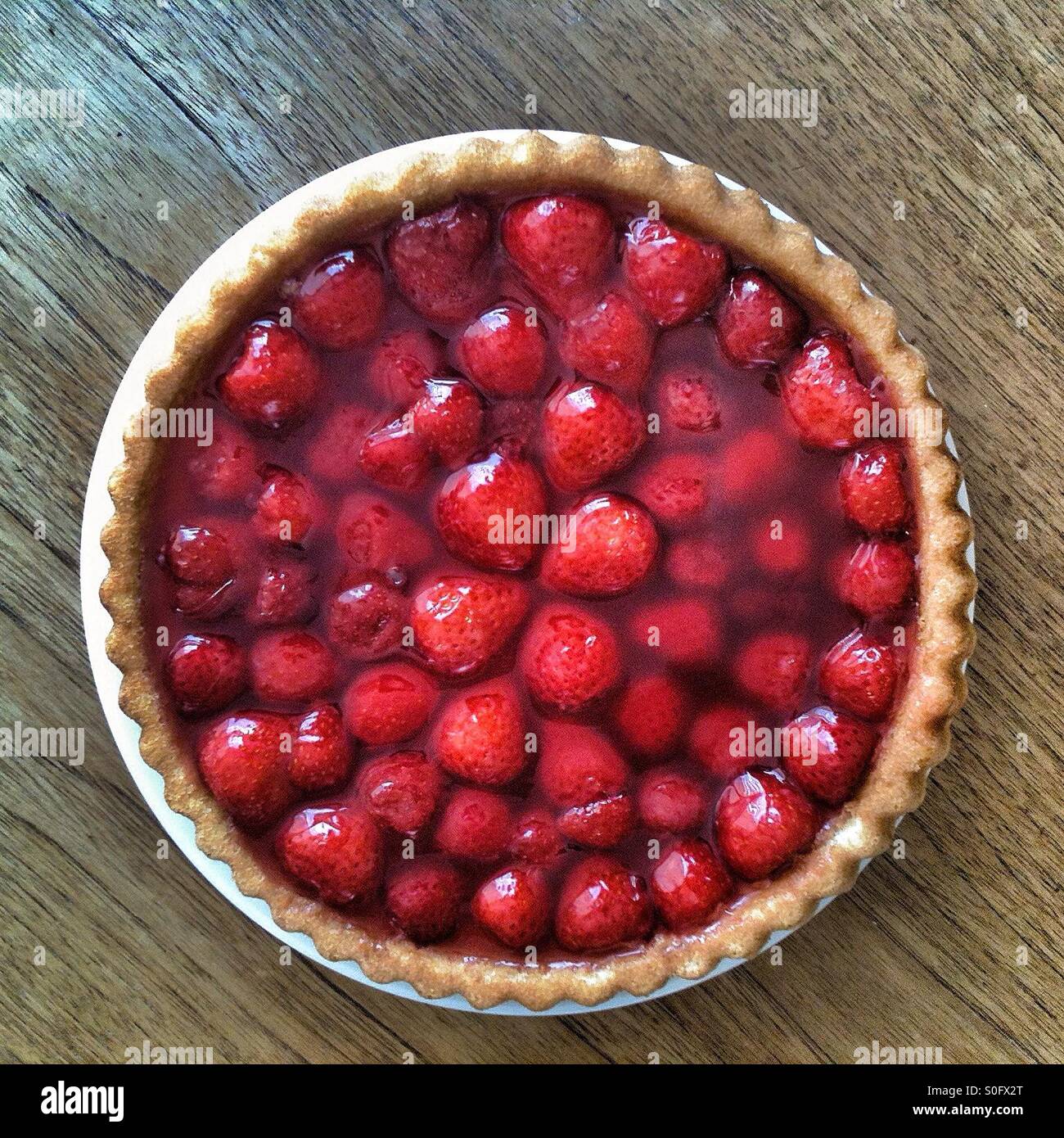 Strawberry flan - Smartphone Captured Stock Image