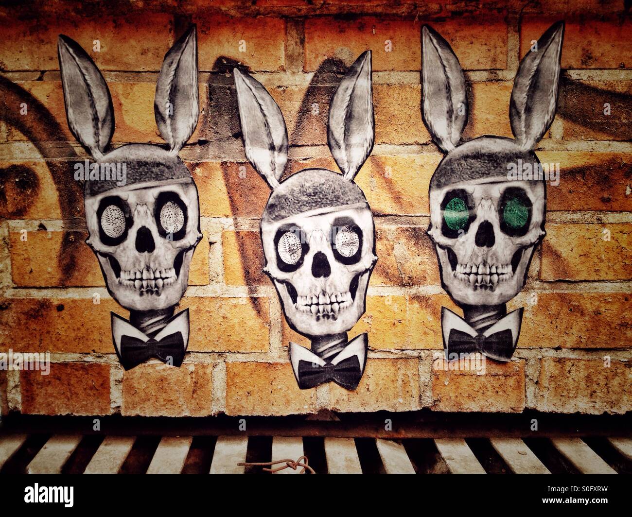 Urban Skulls - Smartphone Captured Stock Image