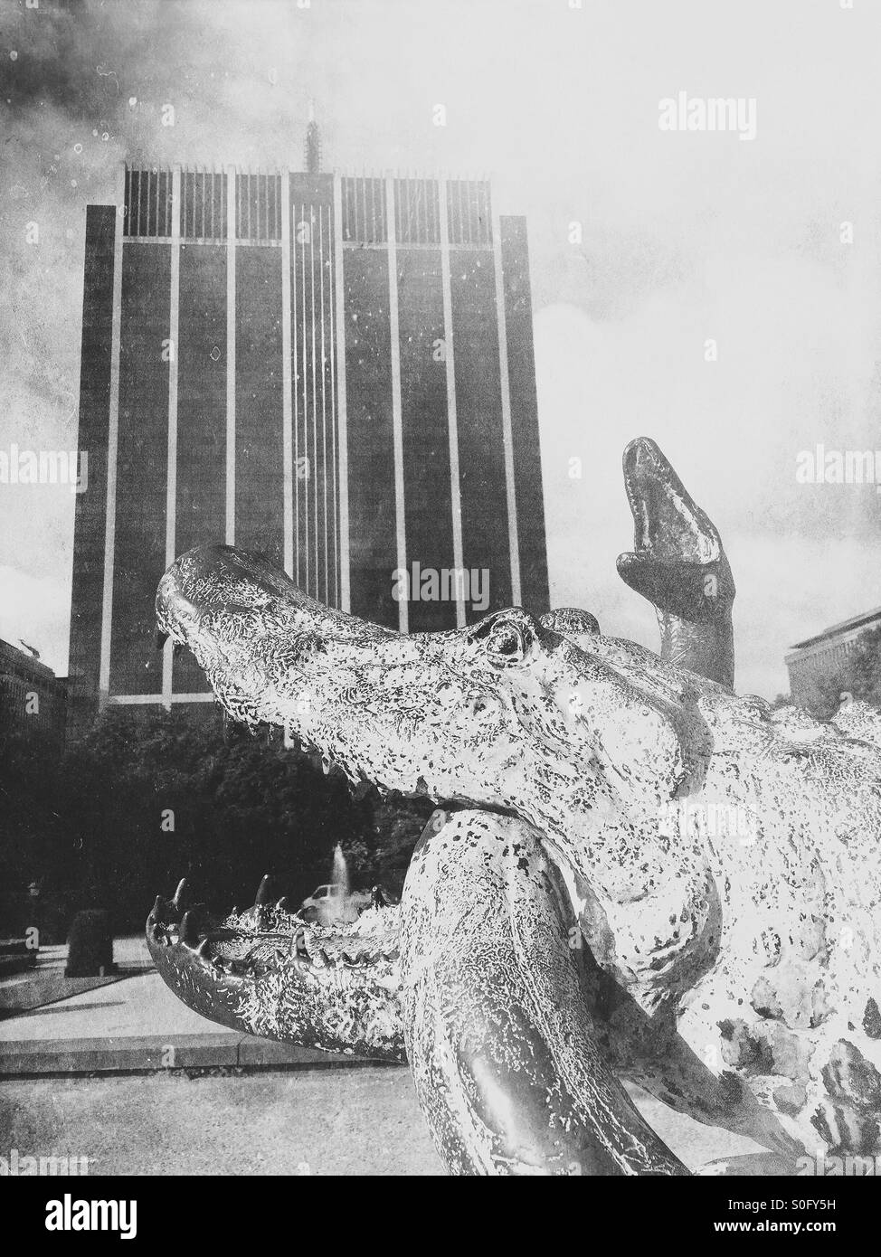 Office building eaten by a crocodile and snake - Smartphone Captured Stock Image
