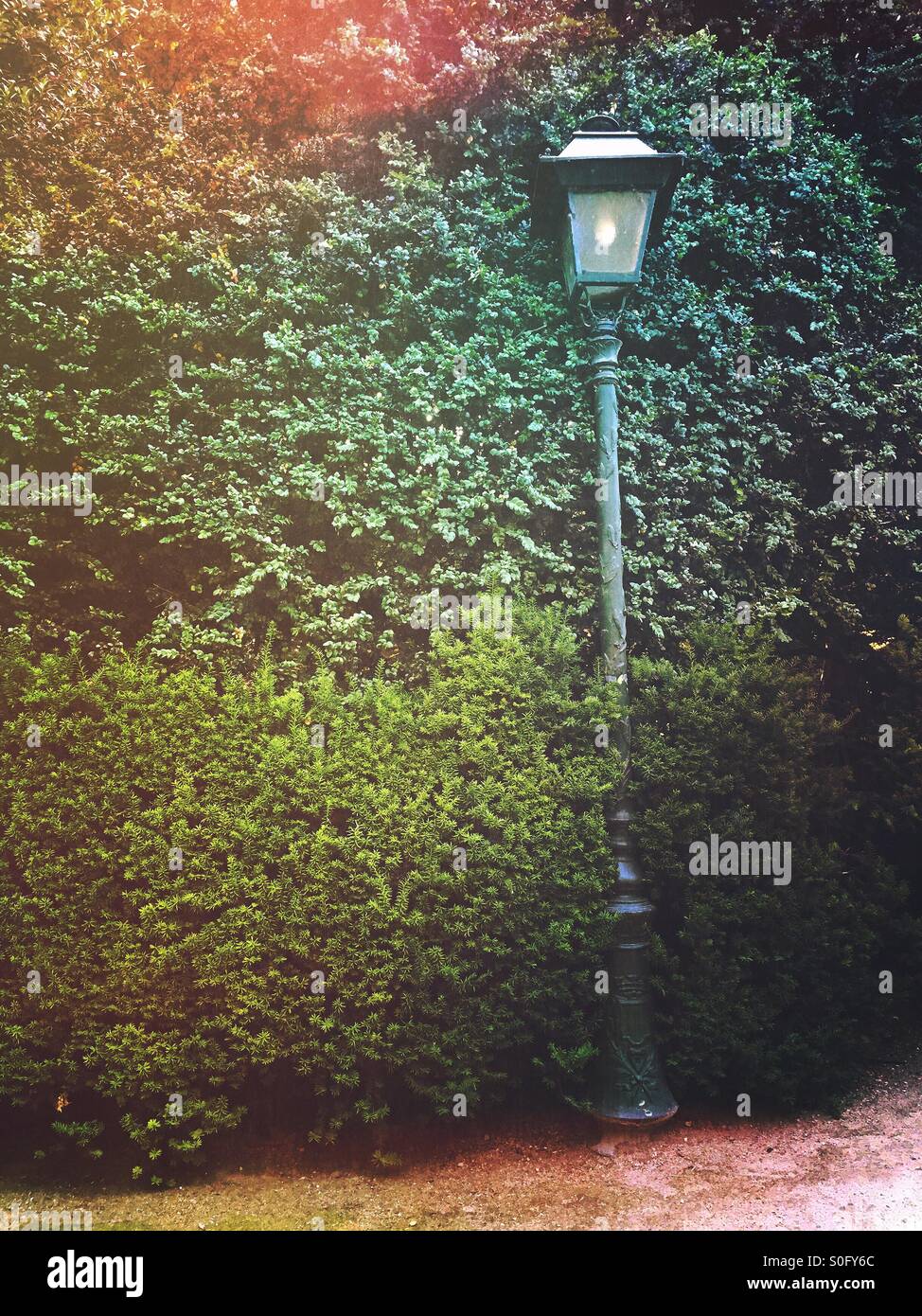 Old lamppost overtaken by shrubbery in park Stock Photo