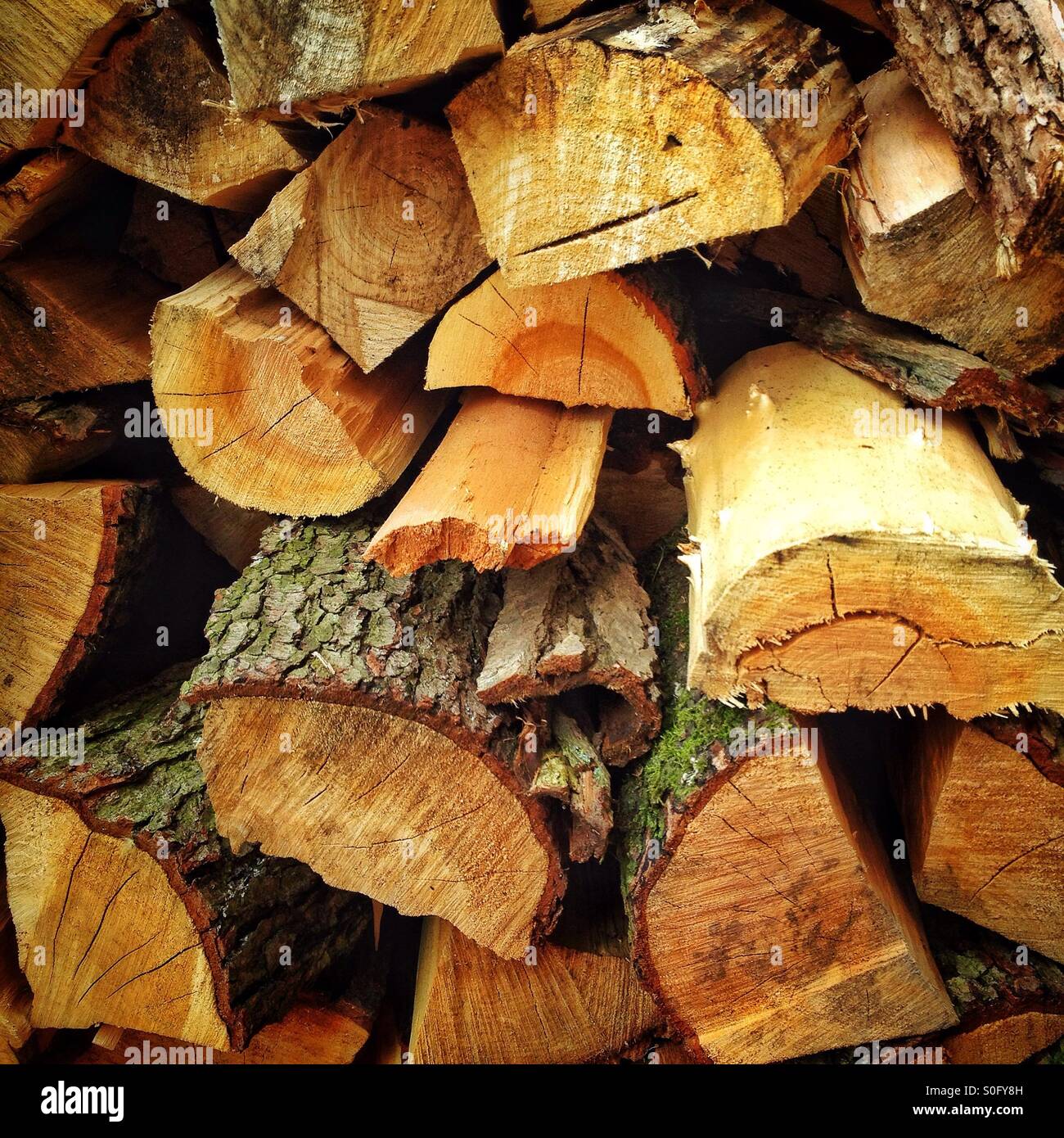 Firewood - Smartphone Captured Stock Image