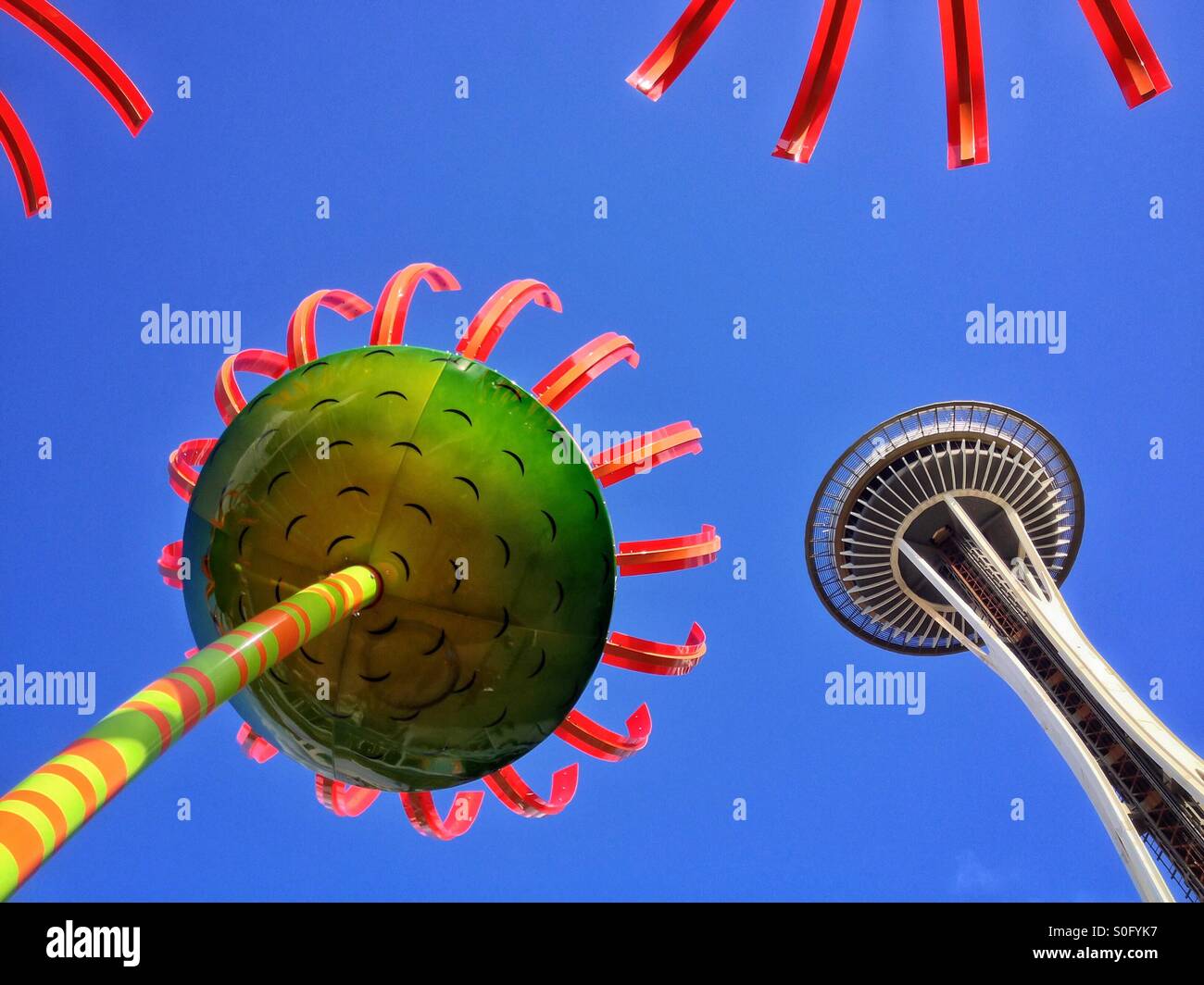 The flowers of Sonic Boom and the Seattle Space Needle against a blue sky - Smartphone Captured Stock Image