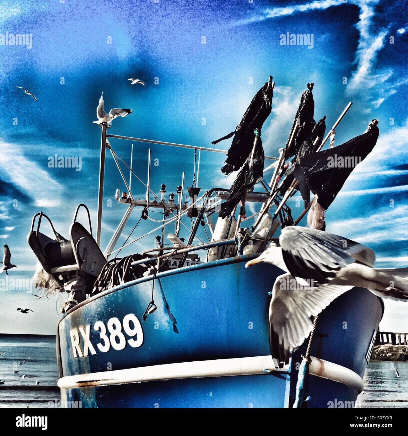 Seagull and fishing boat, Hastings, East Sussex, UK. - Smartphone Captured Stock Image