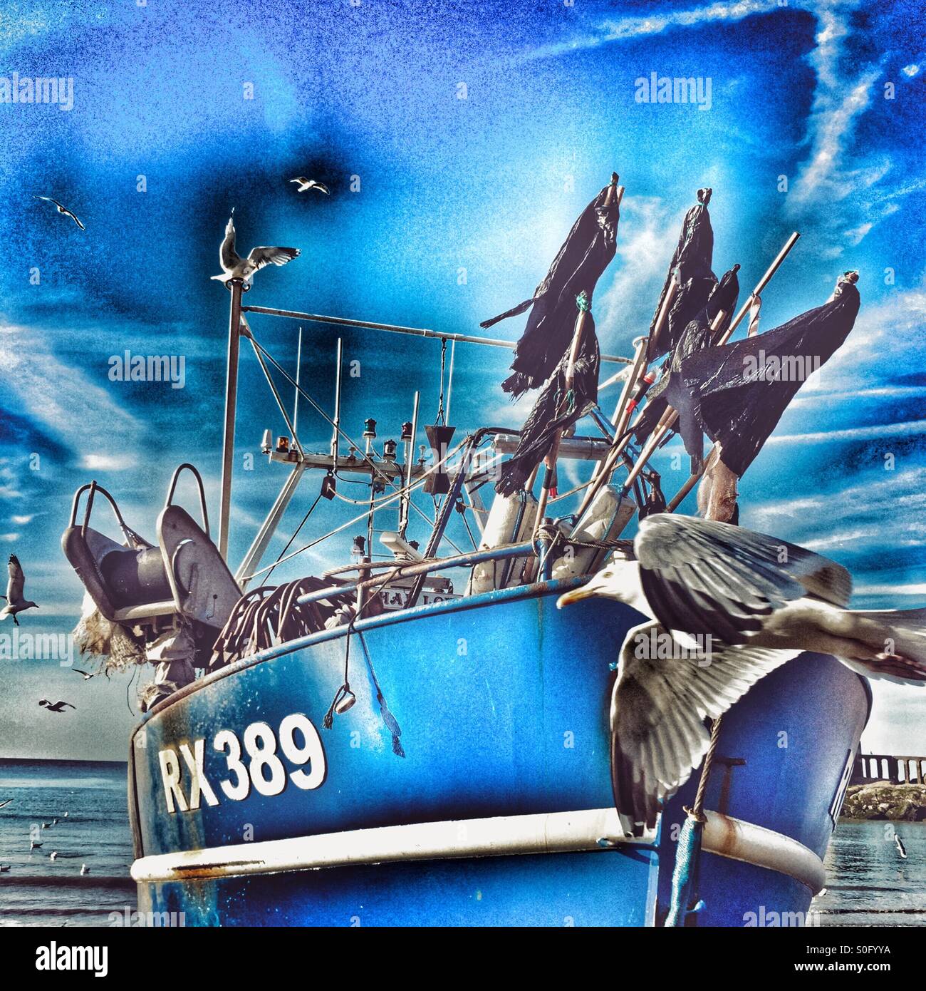 Seagull and fishing boat, Hastings, East Sussex, UK - Smartphone Captured Stock Image