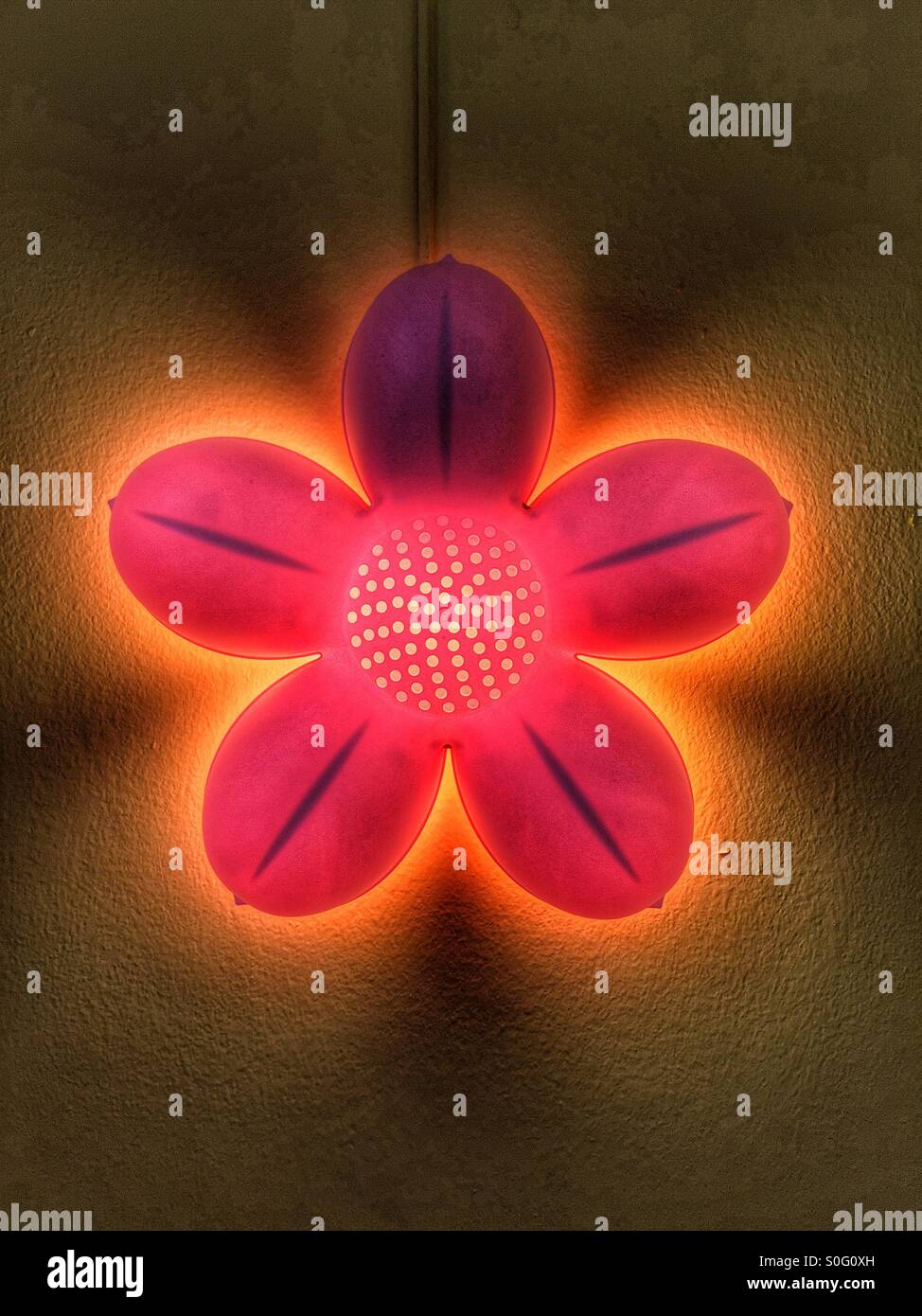 Lit flower decor on a wall. - Smartphone Captured Stock Image