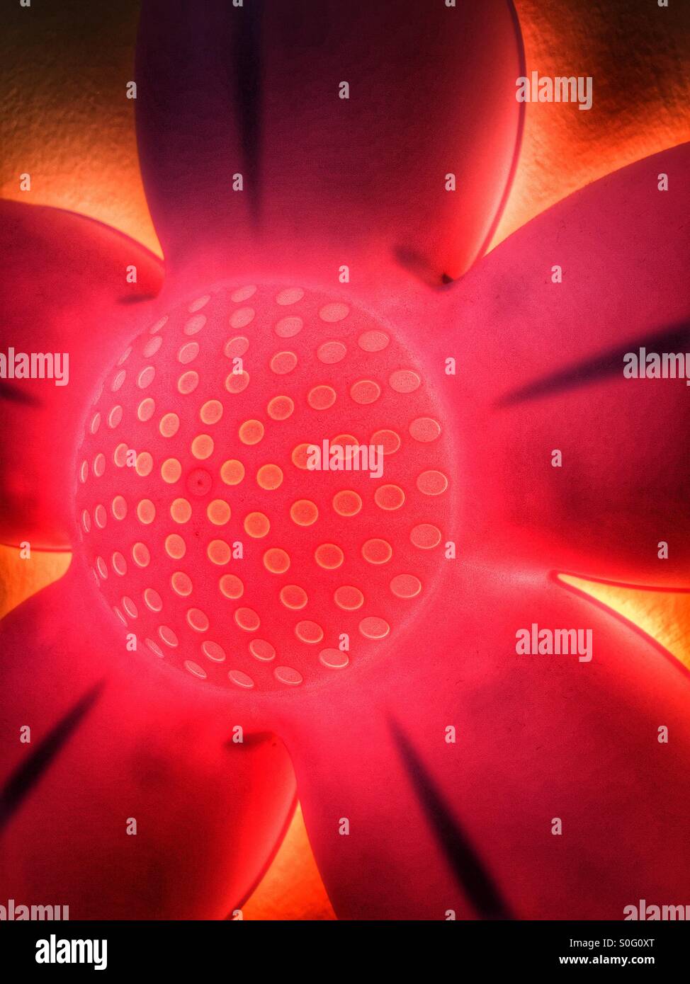 Lit flower glow. - Smartphone Captured Stock Image