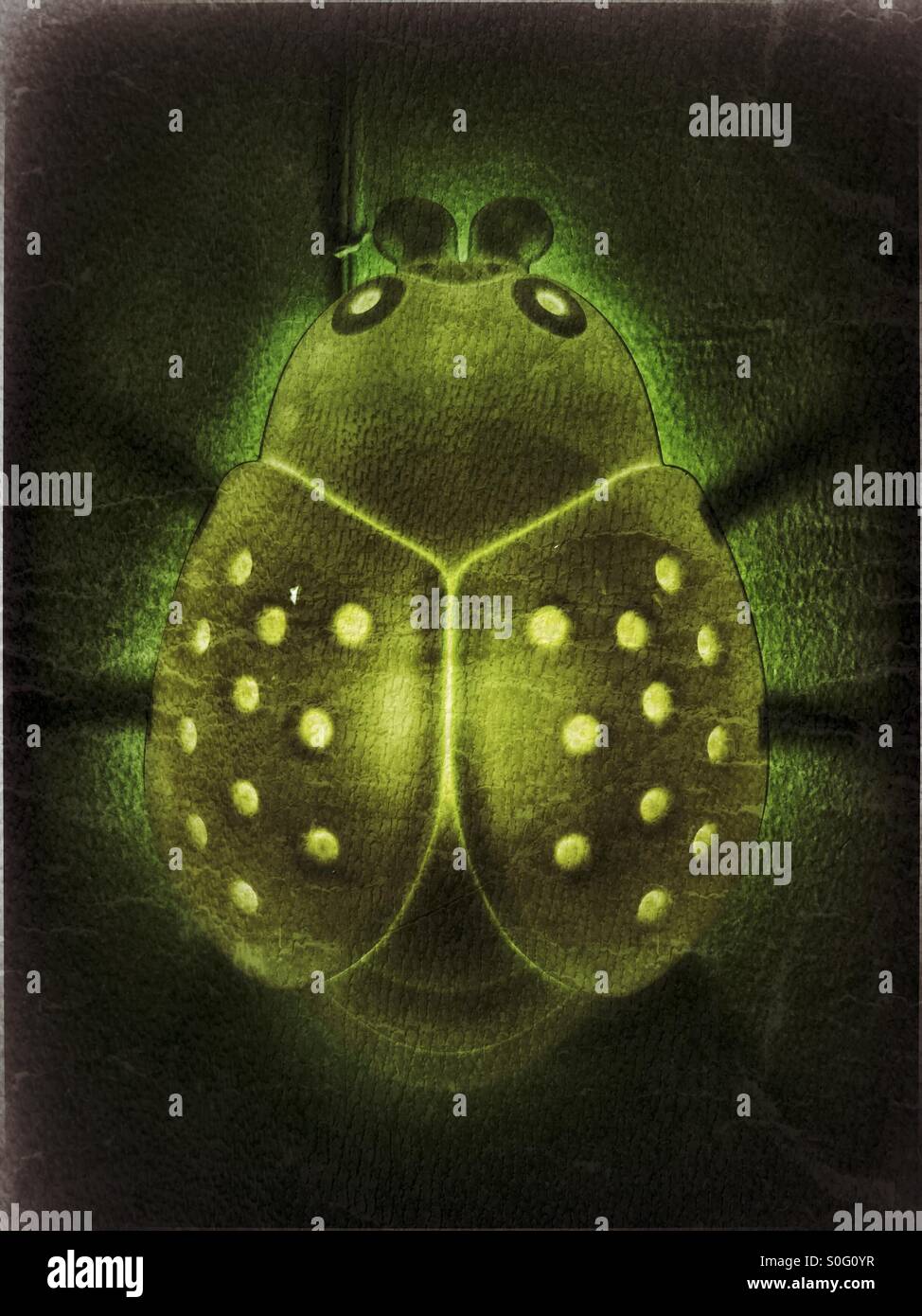 Vintage lady bug decor. - Smartphone Captured Stock Image