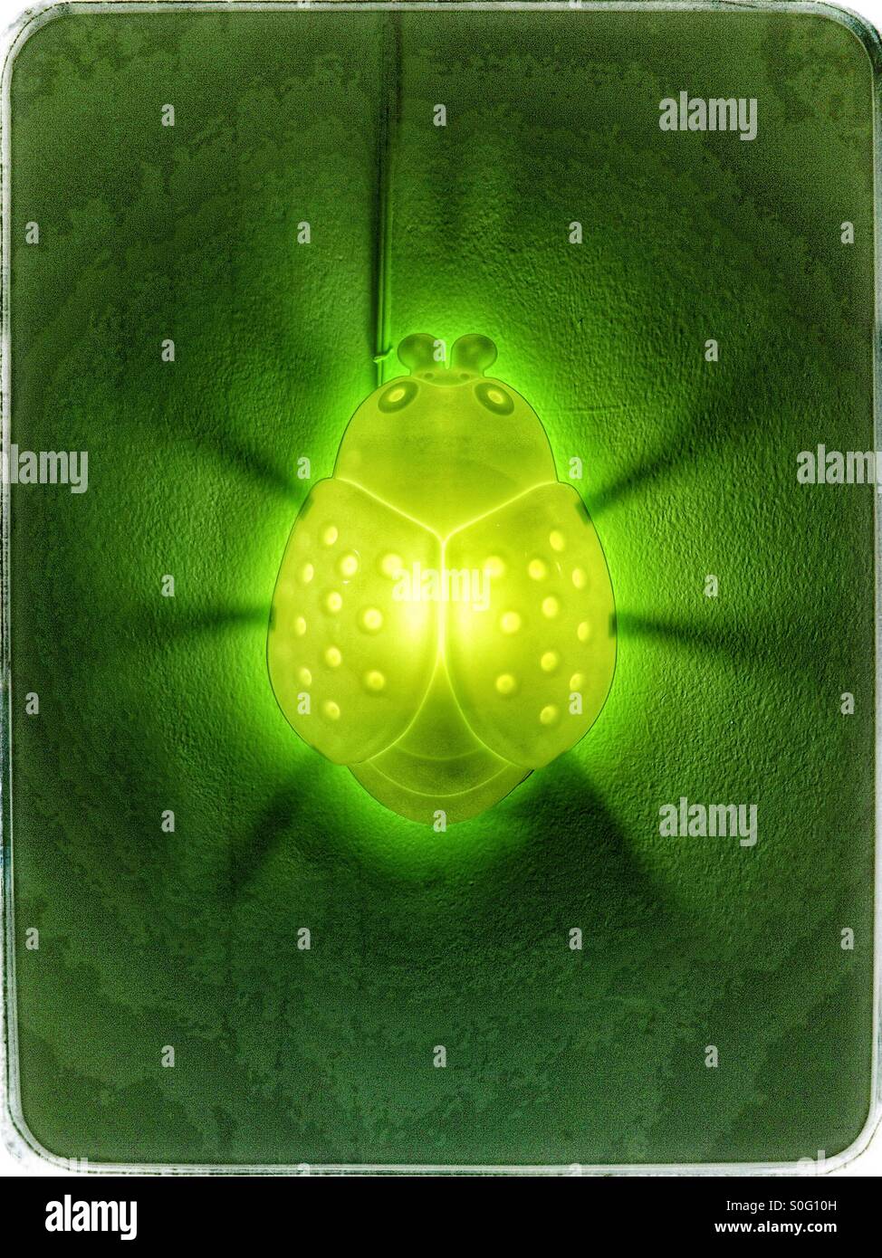 Detail of a lit bug on a wall. - Smartphone Captured Stock Image
