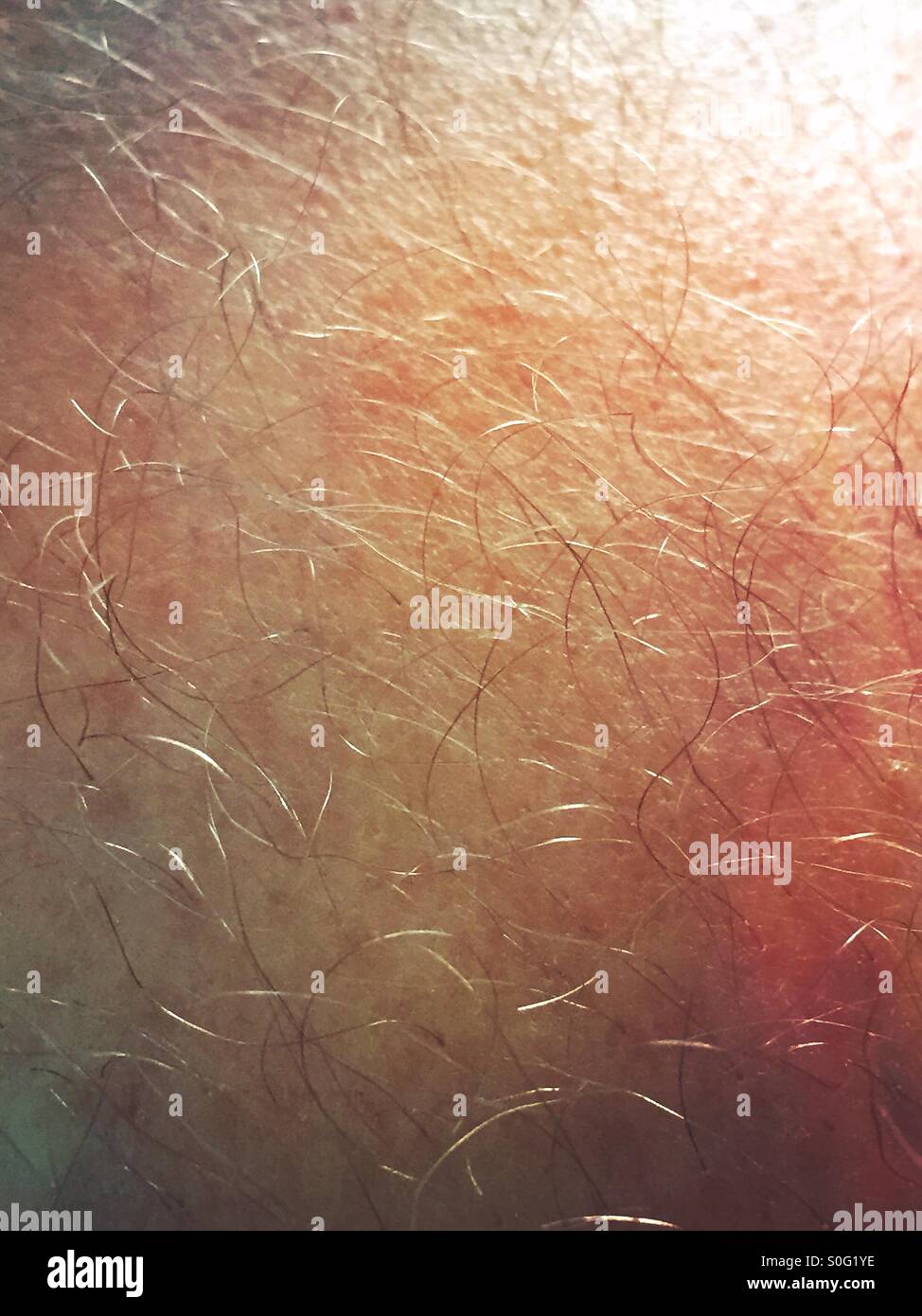Closeup of curly leg hair Stock Photo