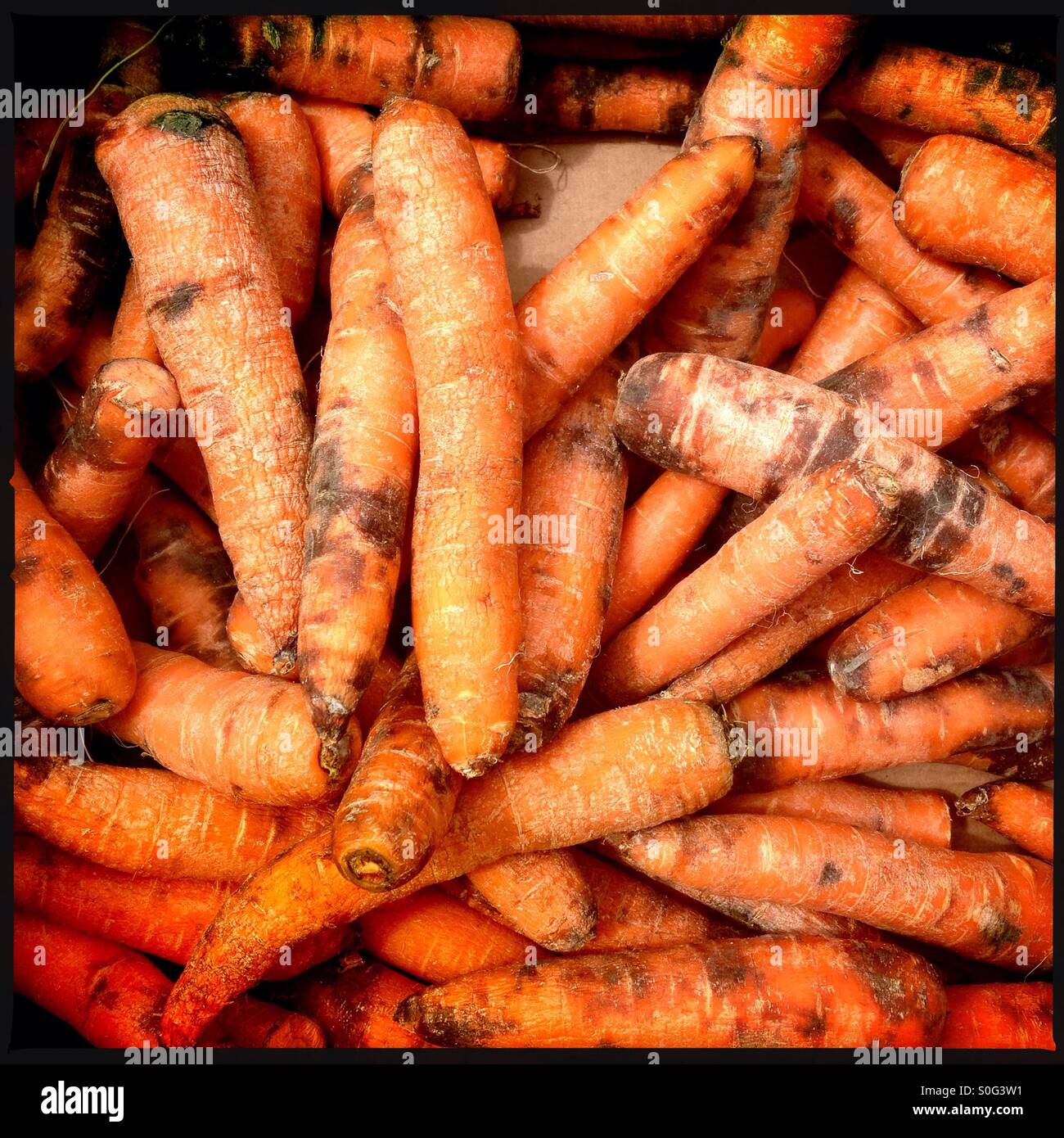 Rotten carrots in a box Stock Photo Alamy