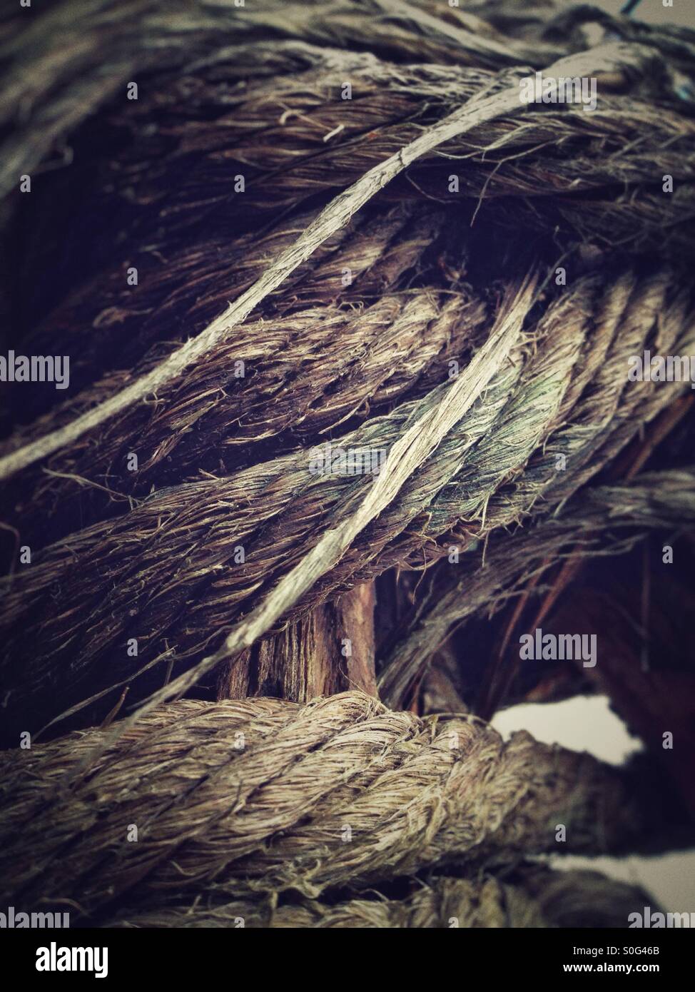 Old rope - Smartphone Captured Stock Image