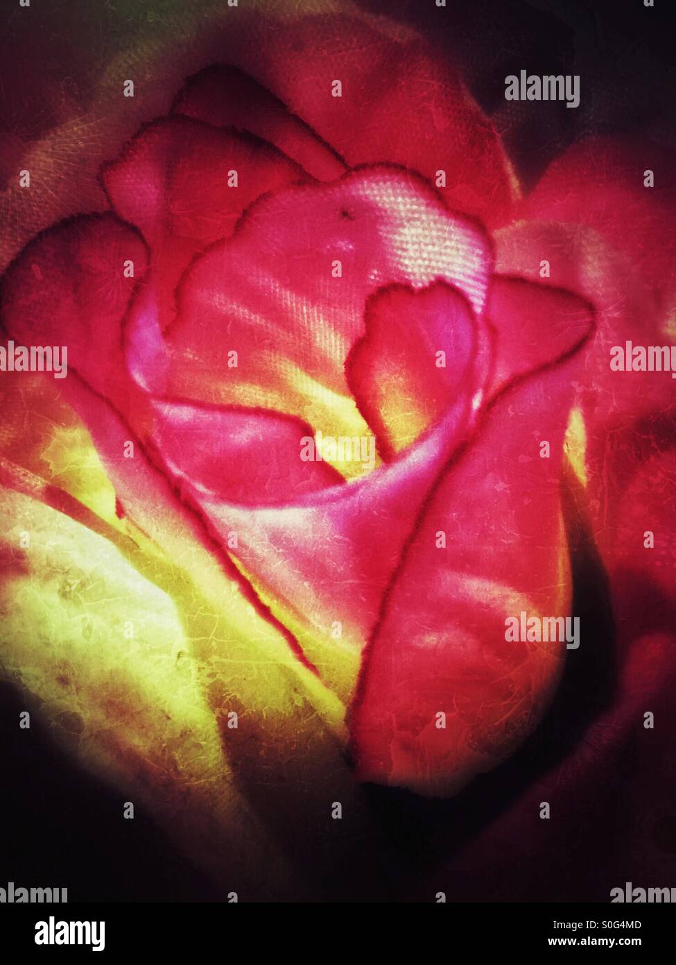 Lit artificial flower. - Smartphone Captured Stock Image