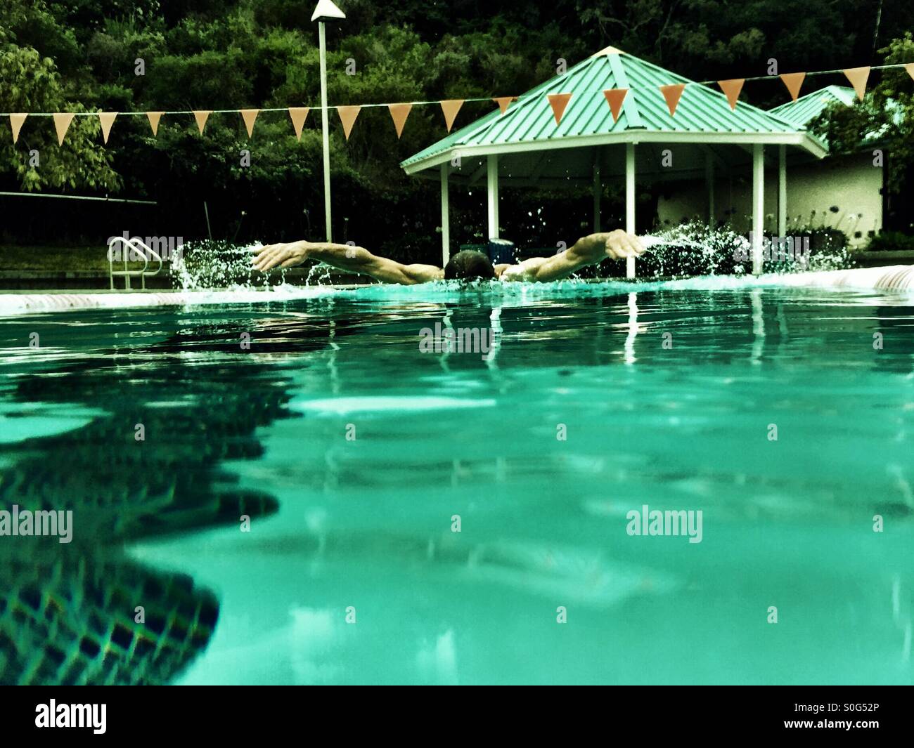 The Swimmer. Butterfly. Swimming directly toward camera at eye level in the same lane. - Smartphone Captured Stock Image