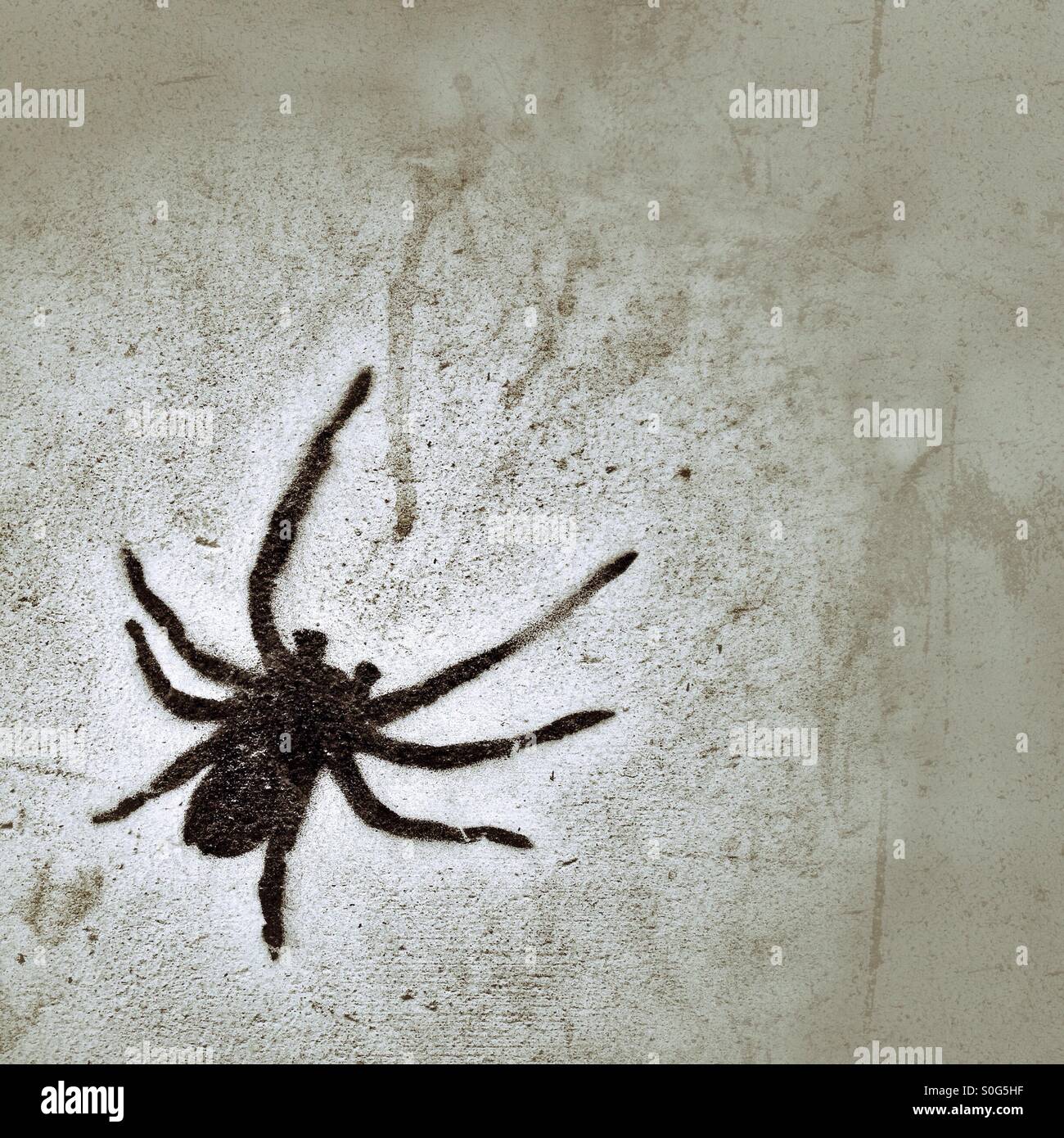 Spider Stencil Stock Photo