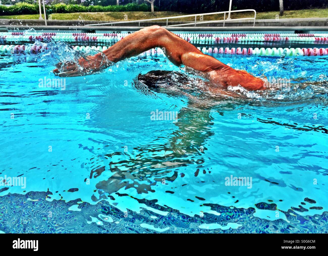 The swimmer. - Smartphone Captured Stock Image