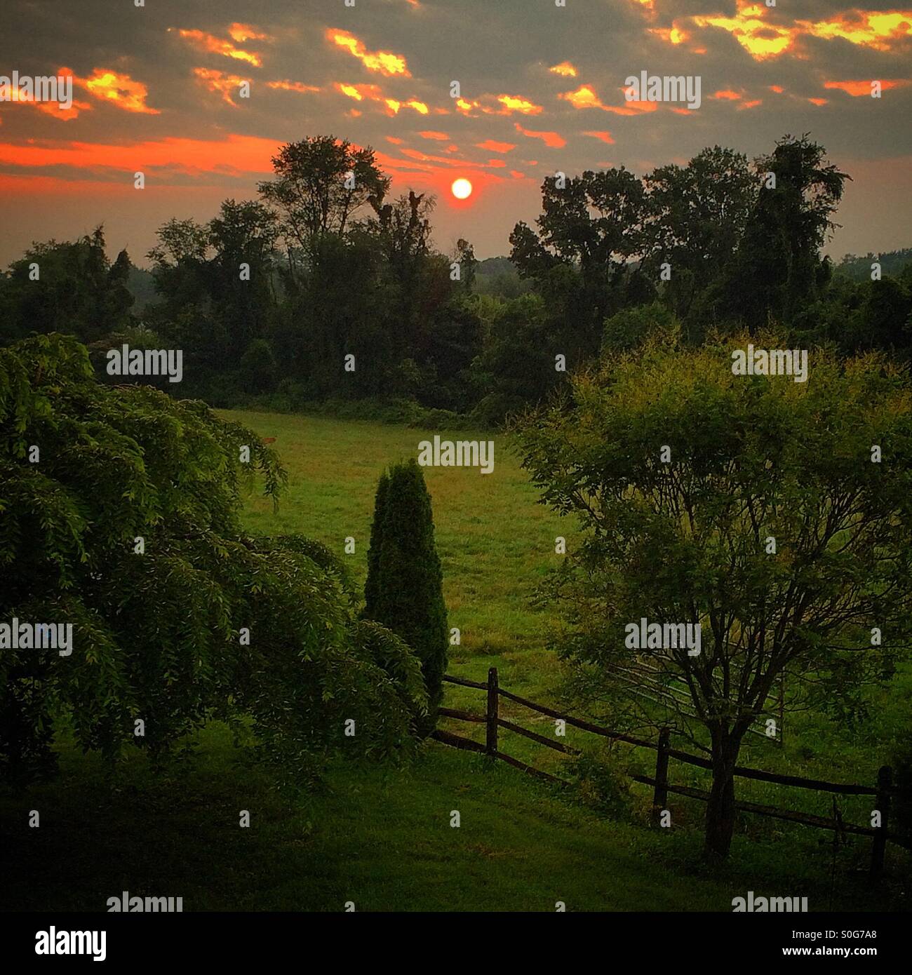 Sunrise over a pasture in Maryland Usa - Smartphone Captured Stock Image