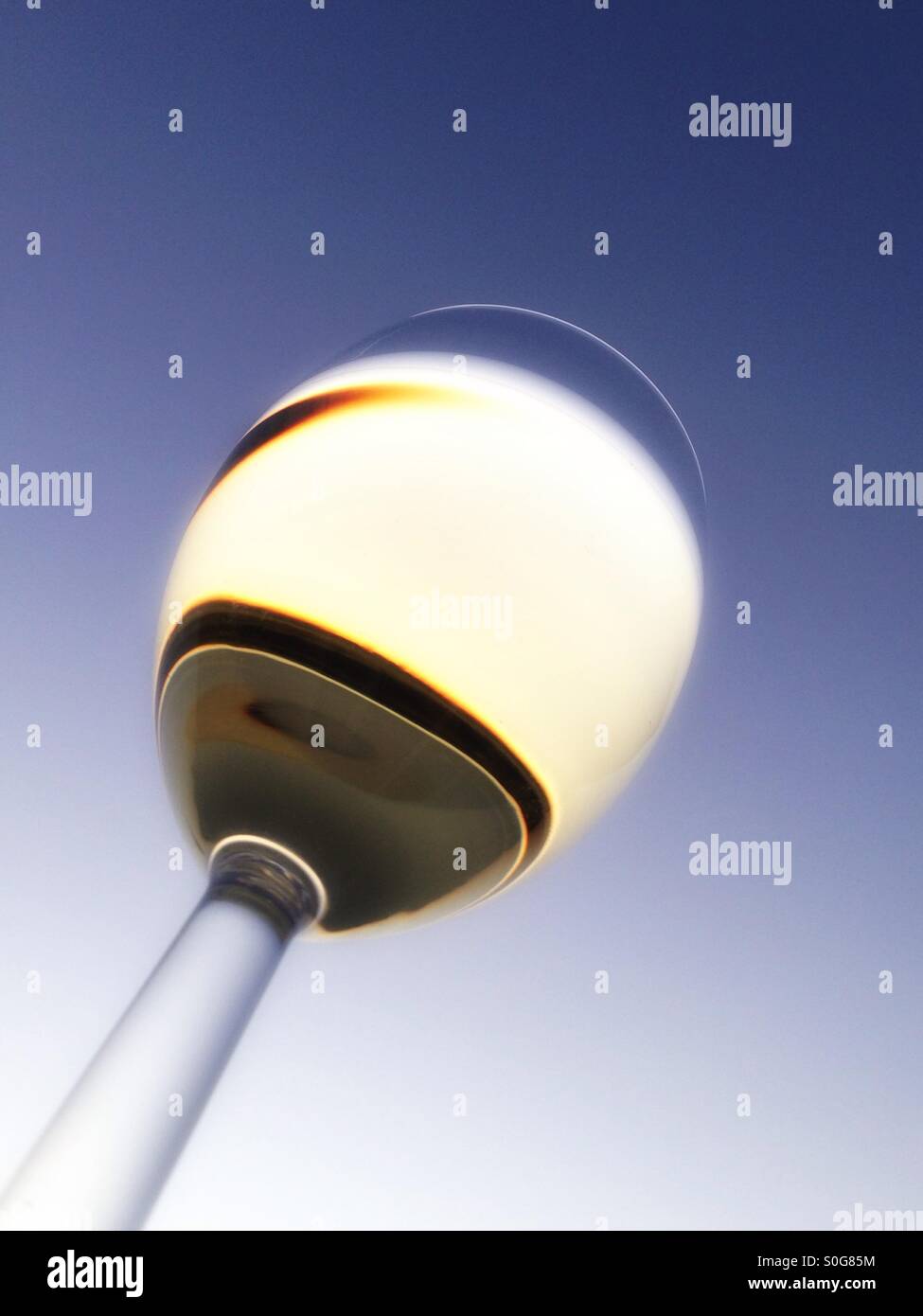 White wine - Smartphone Captured Stock Image