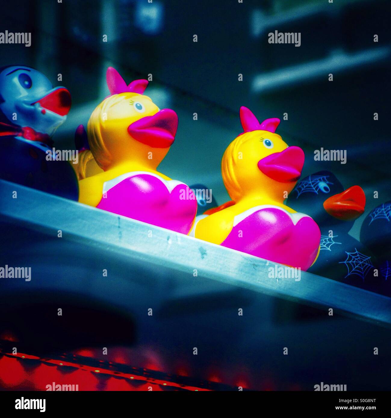 Playboy bunny ducks in Amsterdam - Smartphone Captured Stock Image