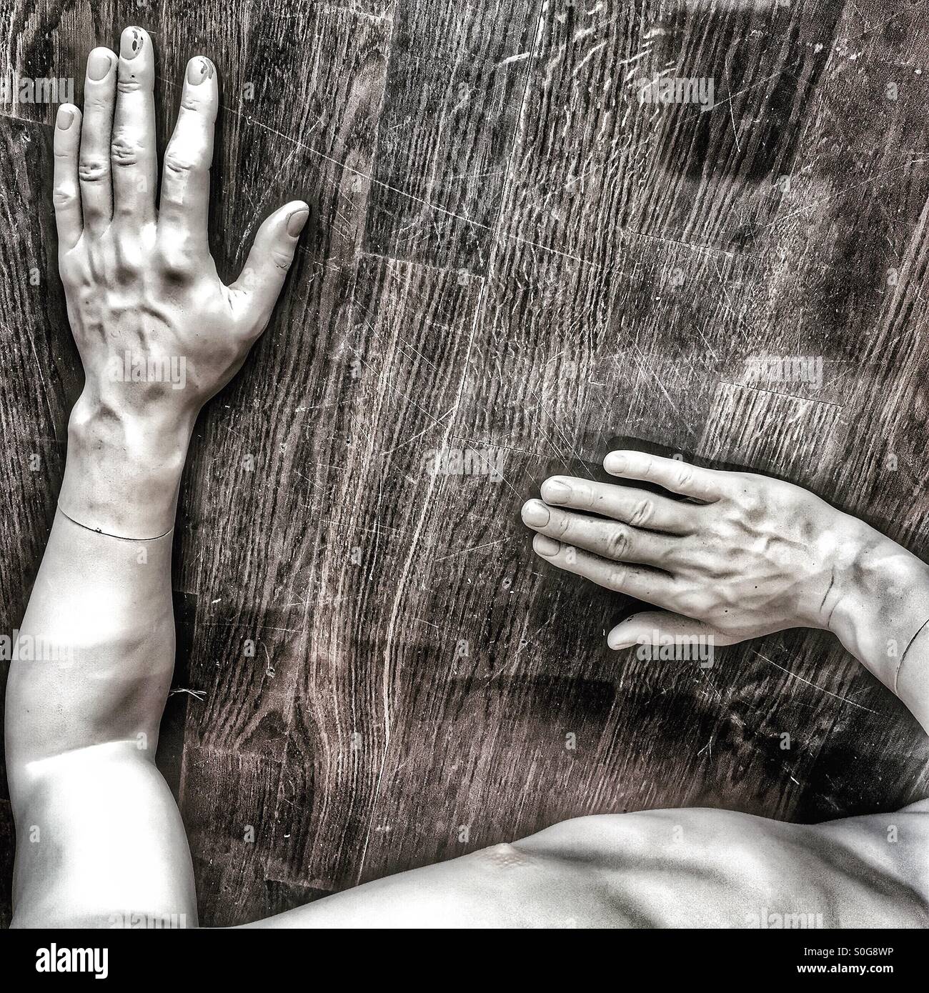 Hands of a lifelike tailor's dummy - Smartphone Captured Stock Image