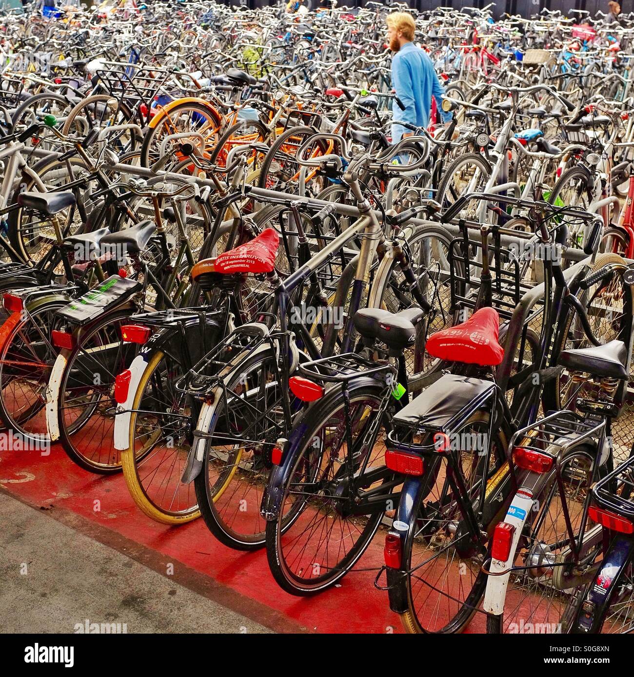 Lost in a sea of bicycles - a bicycle park in Amsterdam Netherlands EU - Smartphone Captured Stock Image