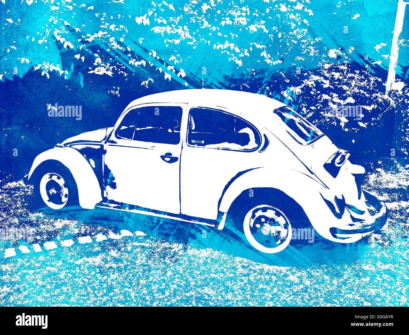 Art overlay on an image of a beetle - Smartphone Captured Stock Image