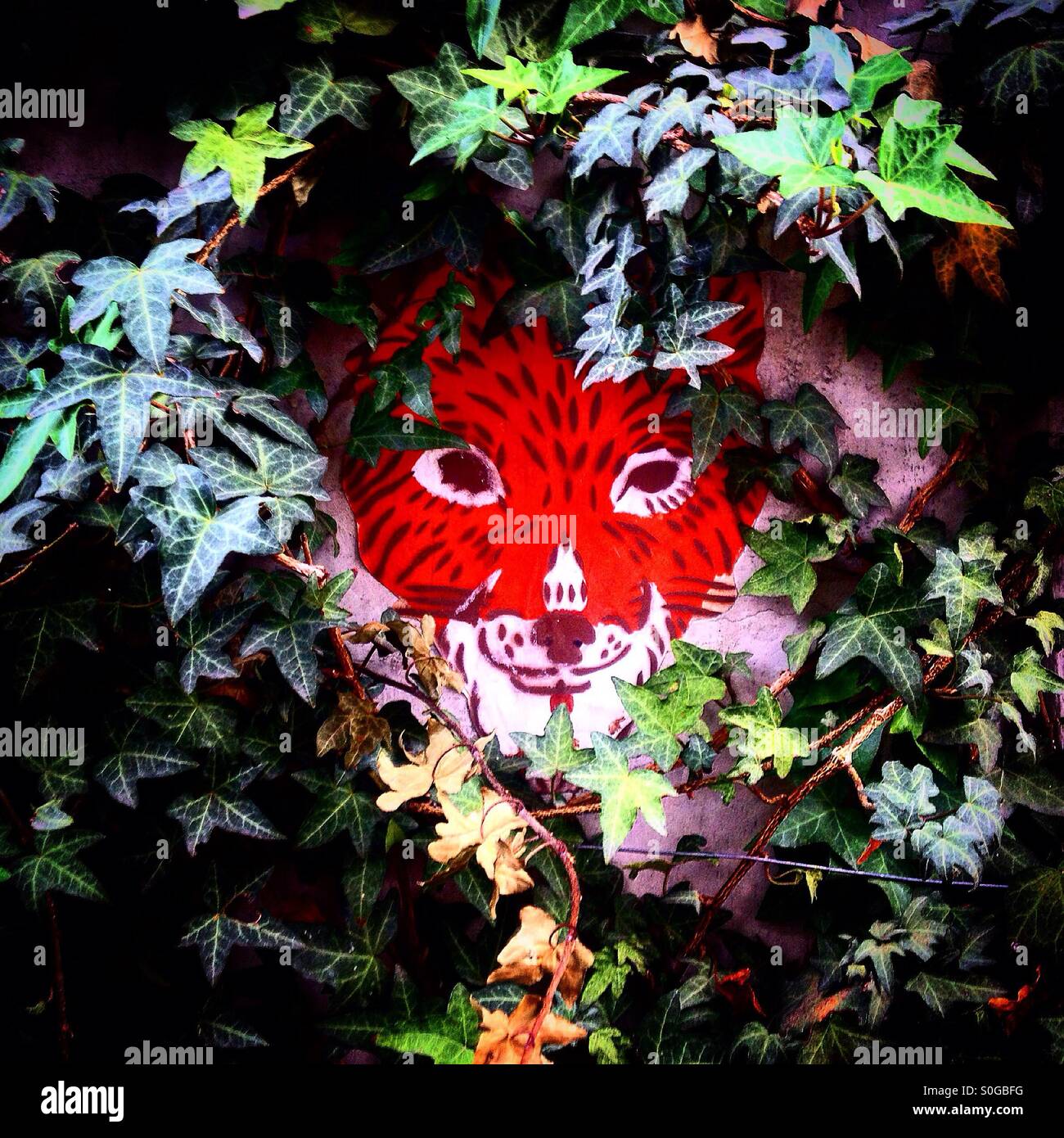 A sticker of a jaguar decorates a garden in Colonia Roma, Mexico City, Mexico - Smartphone Captured Stock Image