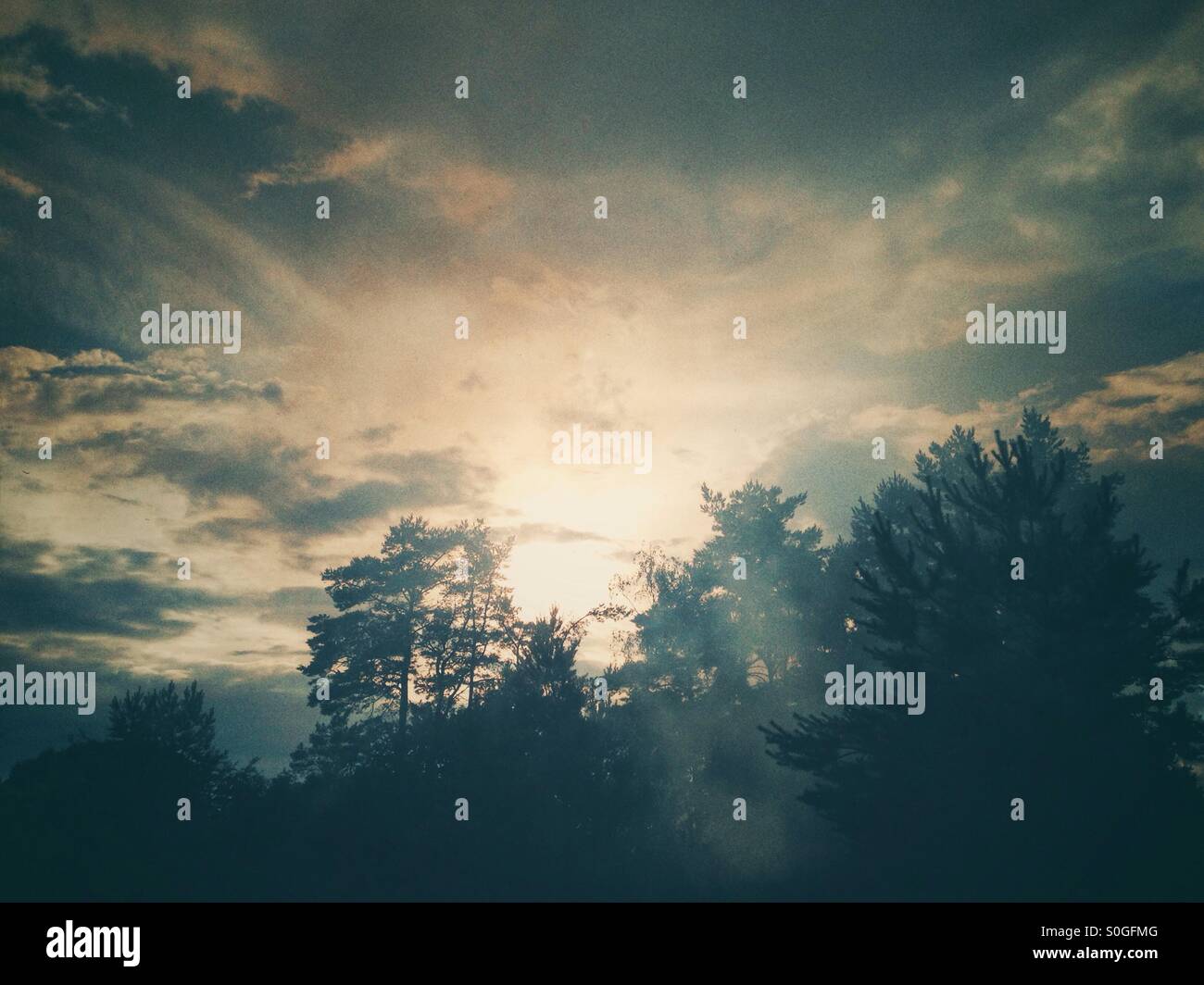 The Sun behind Trees After Heavy Rains with Smoke drifting up - Smartphone Captured Stock Image