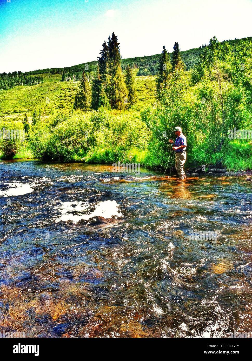 Fly fishing Colorado Stock Photo Alamy