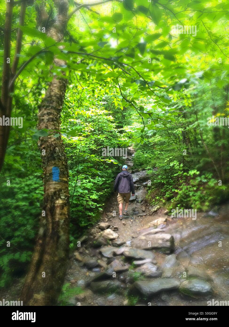 Man hiking on path towards Sterling Pond, Smugglers Notch, Stowe, Vermont Stock Photo