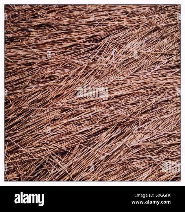 Reeds island High Resolution Stock Photography and Images Alamy