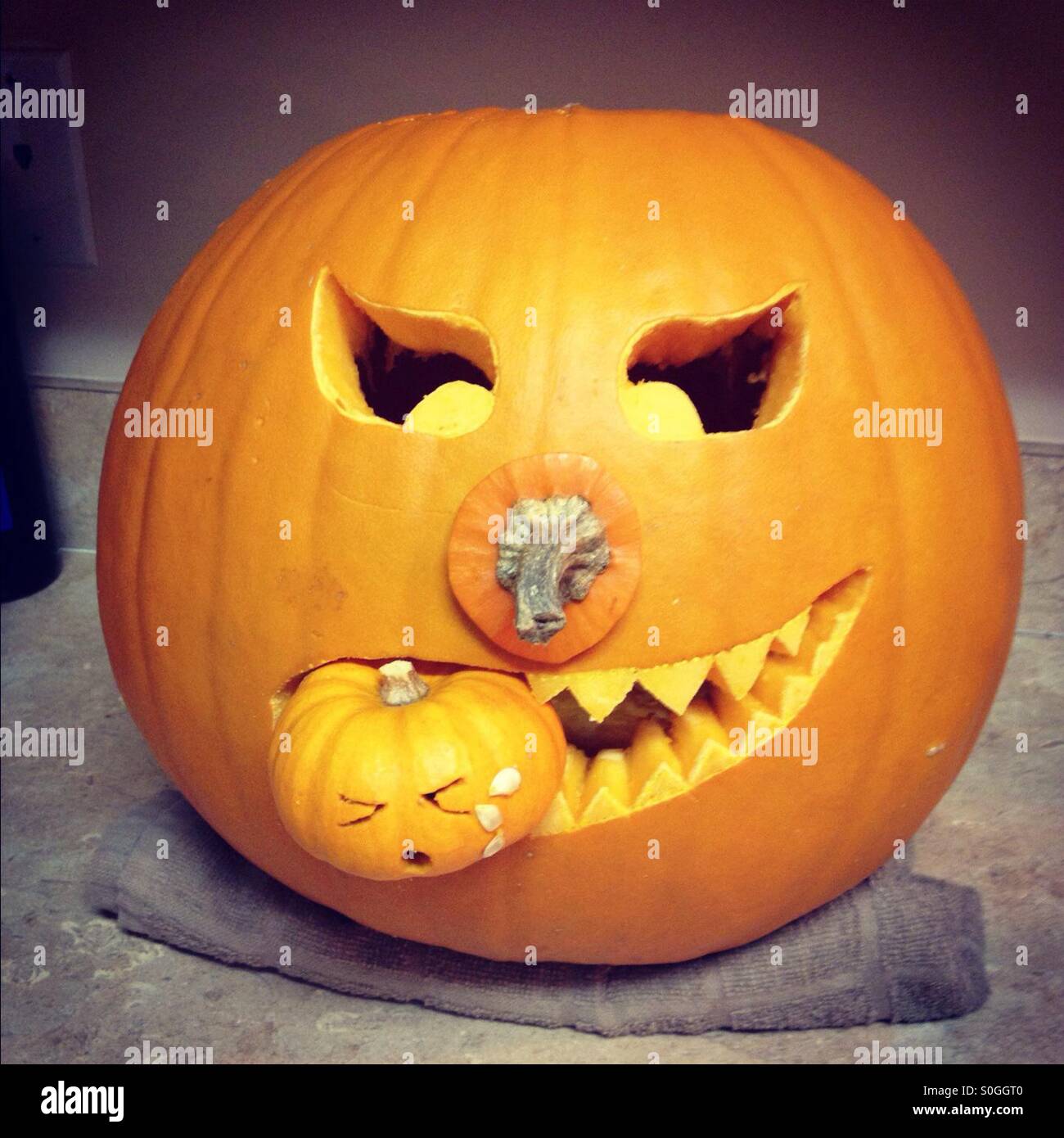 Pumpkin Eating A Smaller Pumpkin Stock Photo Alamy