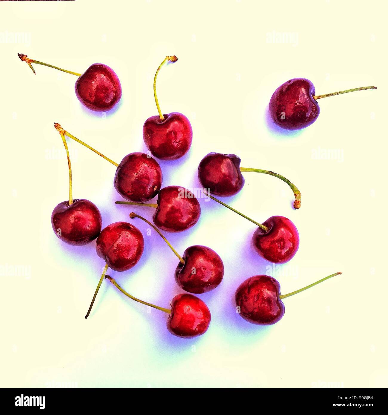 A dozen cherries Stock Photo Alamy