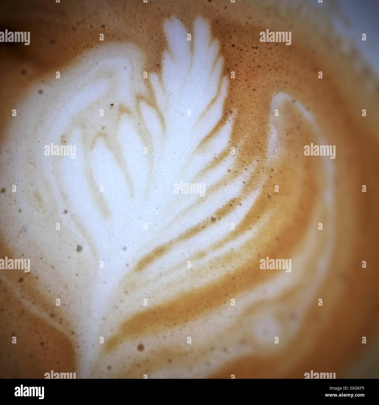 Latte Rosetta Stock Photo