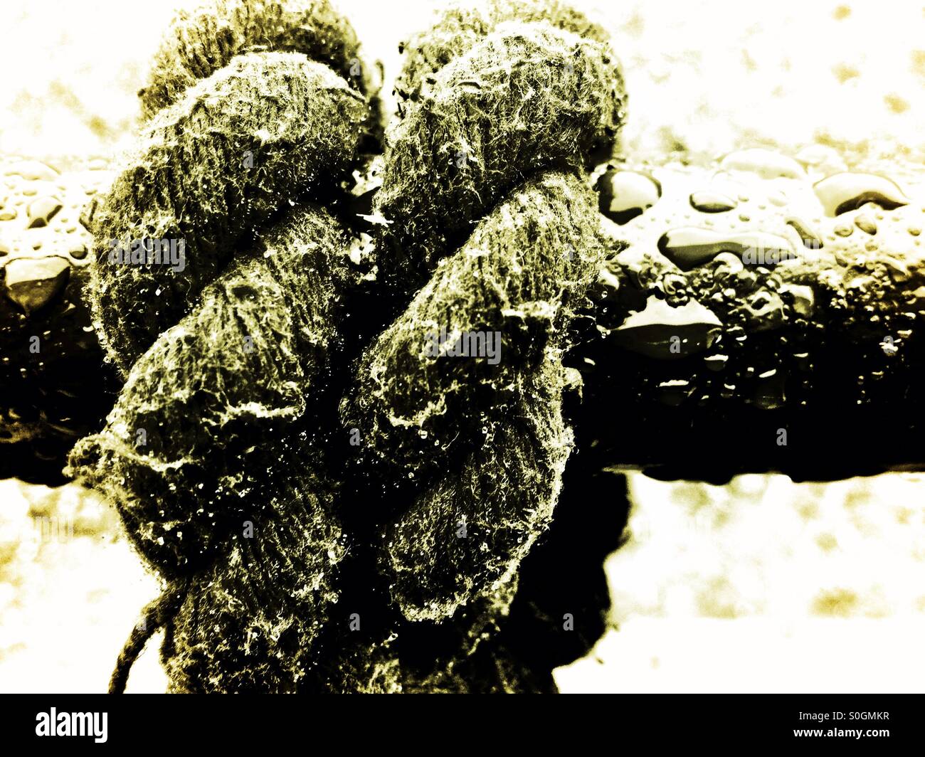 Rope Rain Texture - Smartphone Captured Stock Image