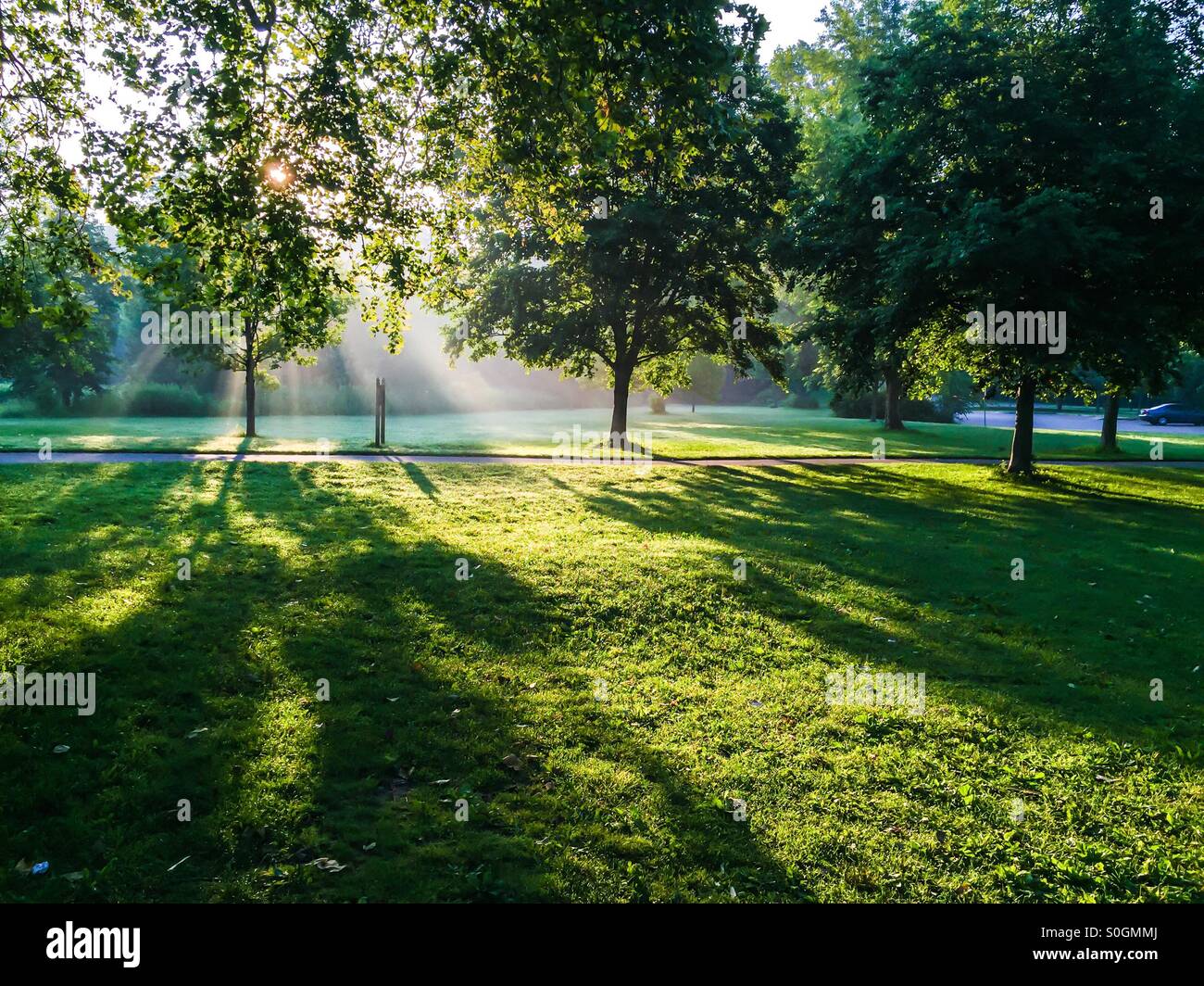 Misty morning - Smartphone Captured Stock Image