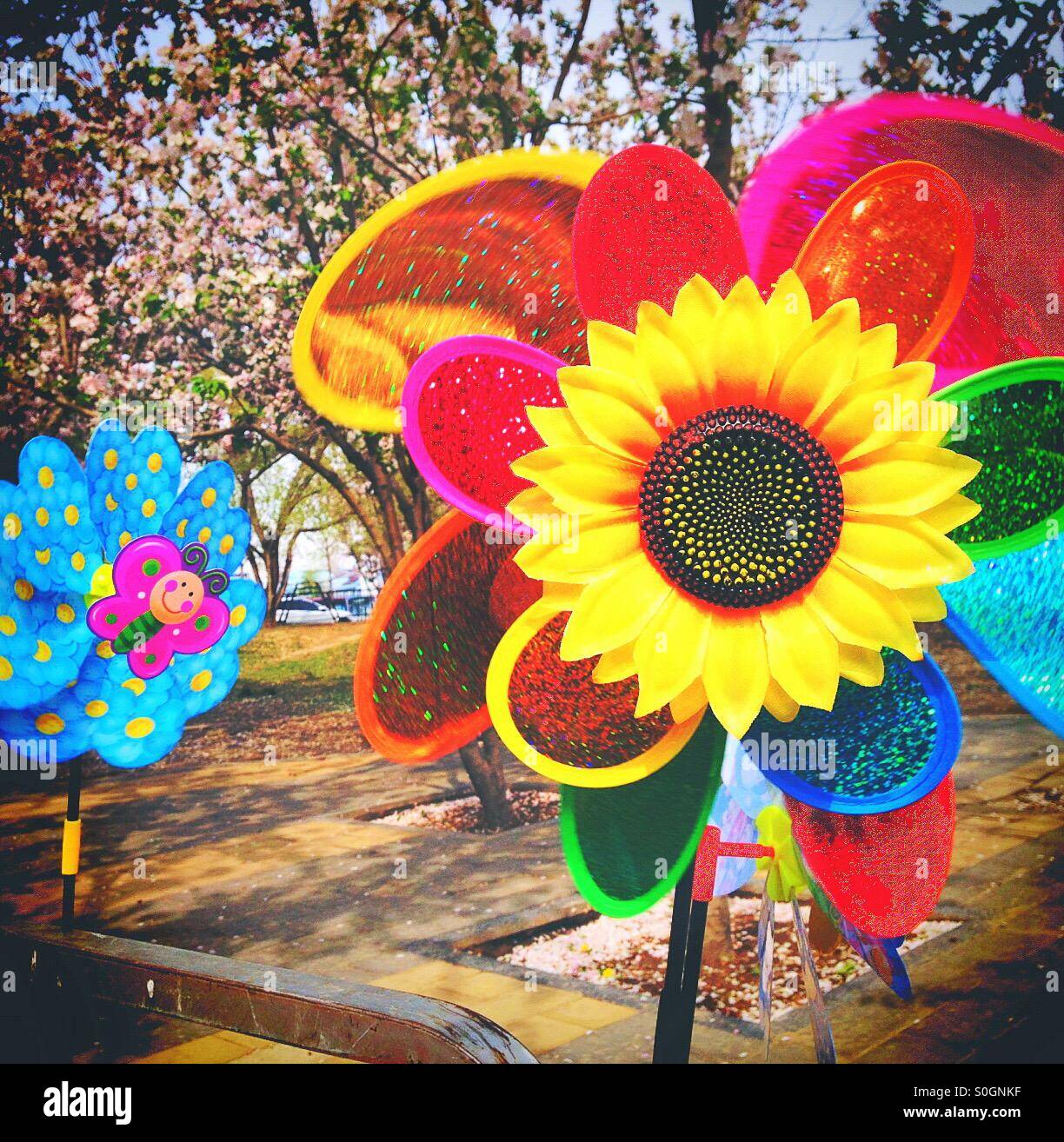 Spinning flower hires stock photography and images Alamy