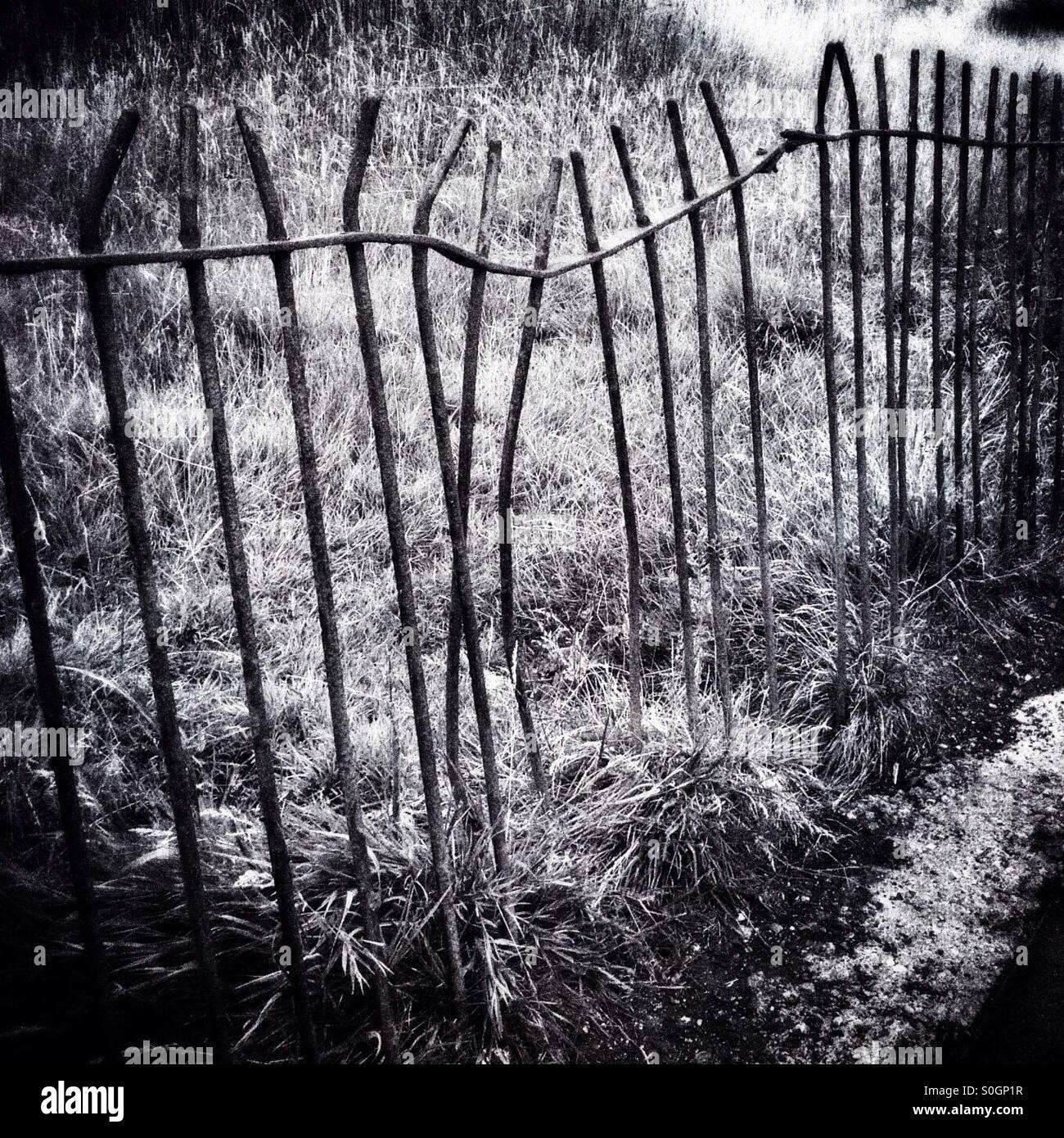 Gap in the fence - Smartphone Captured Stock Image