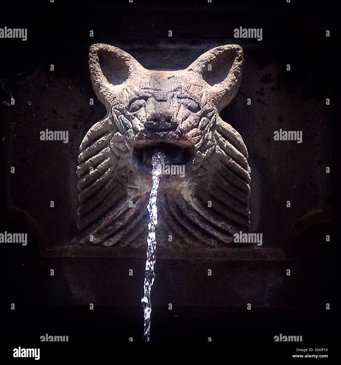 A coyote sculpture decorates a fountain in Coyoacan, Mexico City,Mexico - Smartphone Captured Stock Image