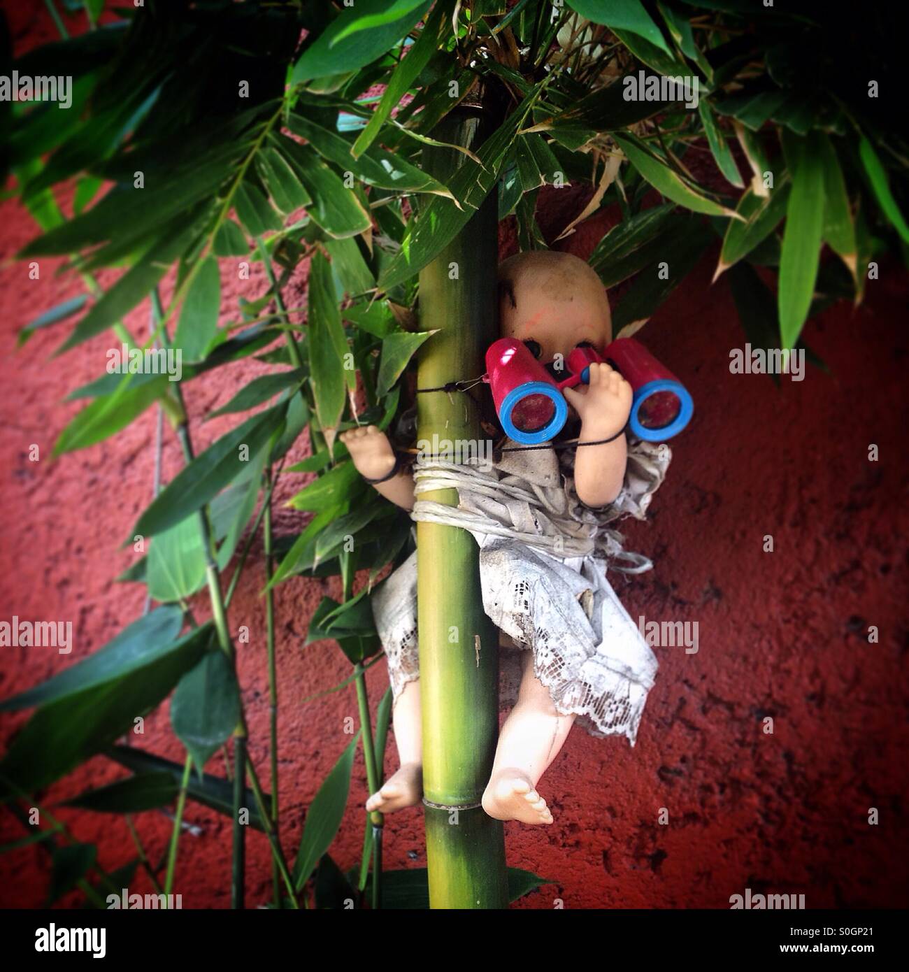 A doll holding binoculars hangs on a tree in the Bazar Artesanal Mexicano market in Coyoacan, Mexico City, Mexico - Smartphone Captured Stock Image