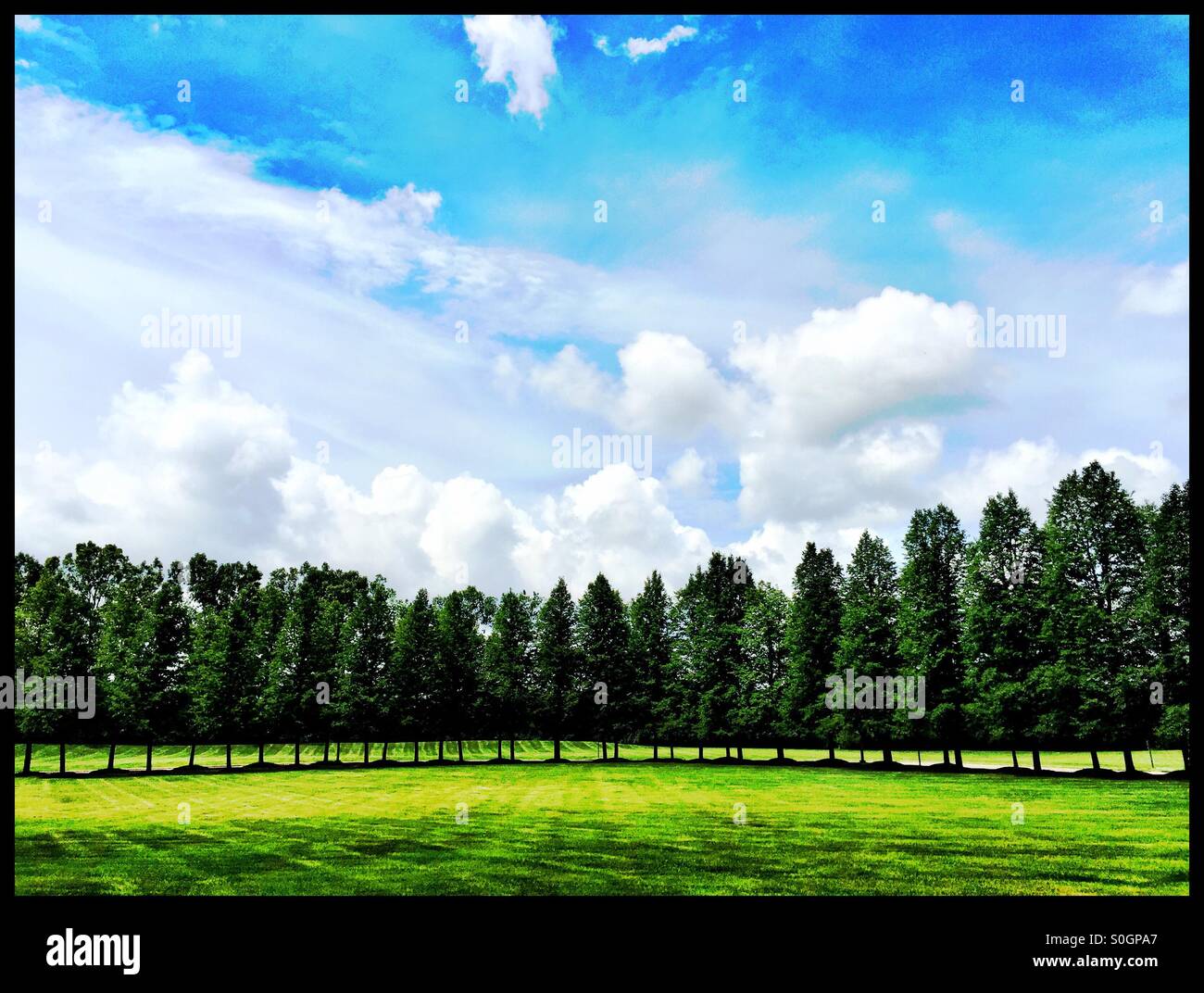 A clear sunny day. Stock Photo