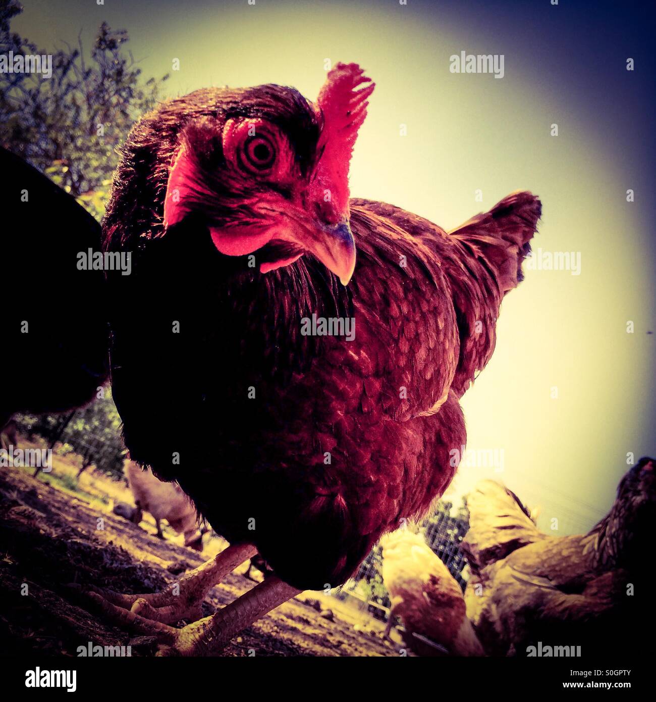 Stooping hi-res stock photography and images - Alamy
