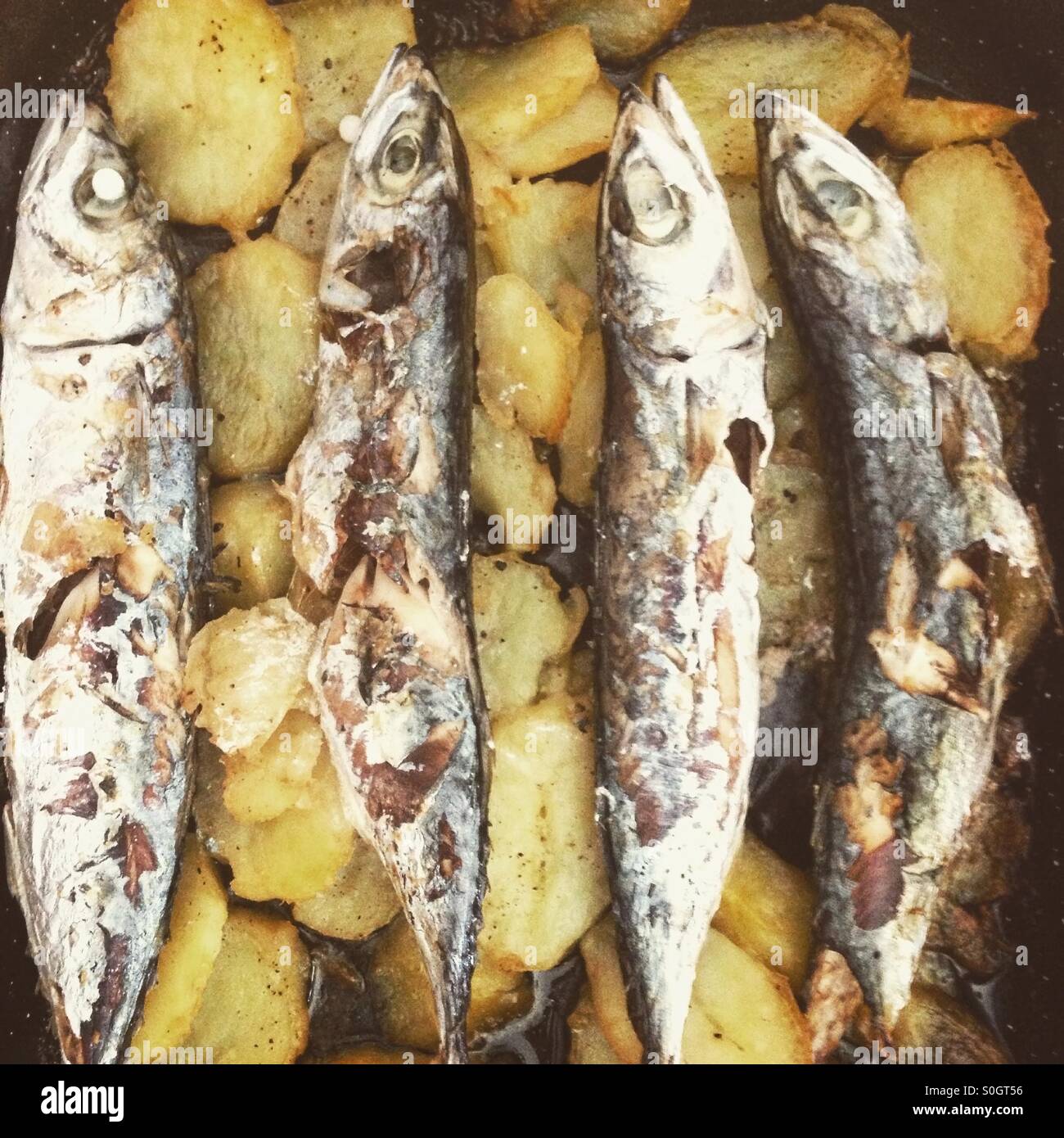 Mackerel fish with potatoes Stock Photo Alamy