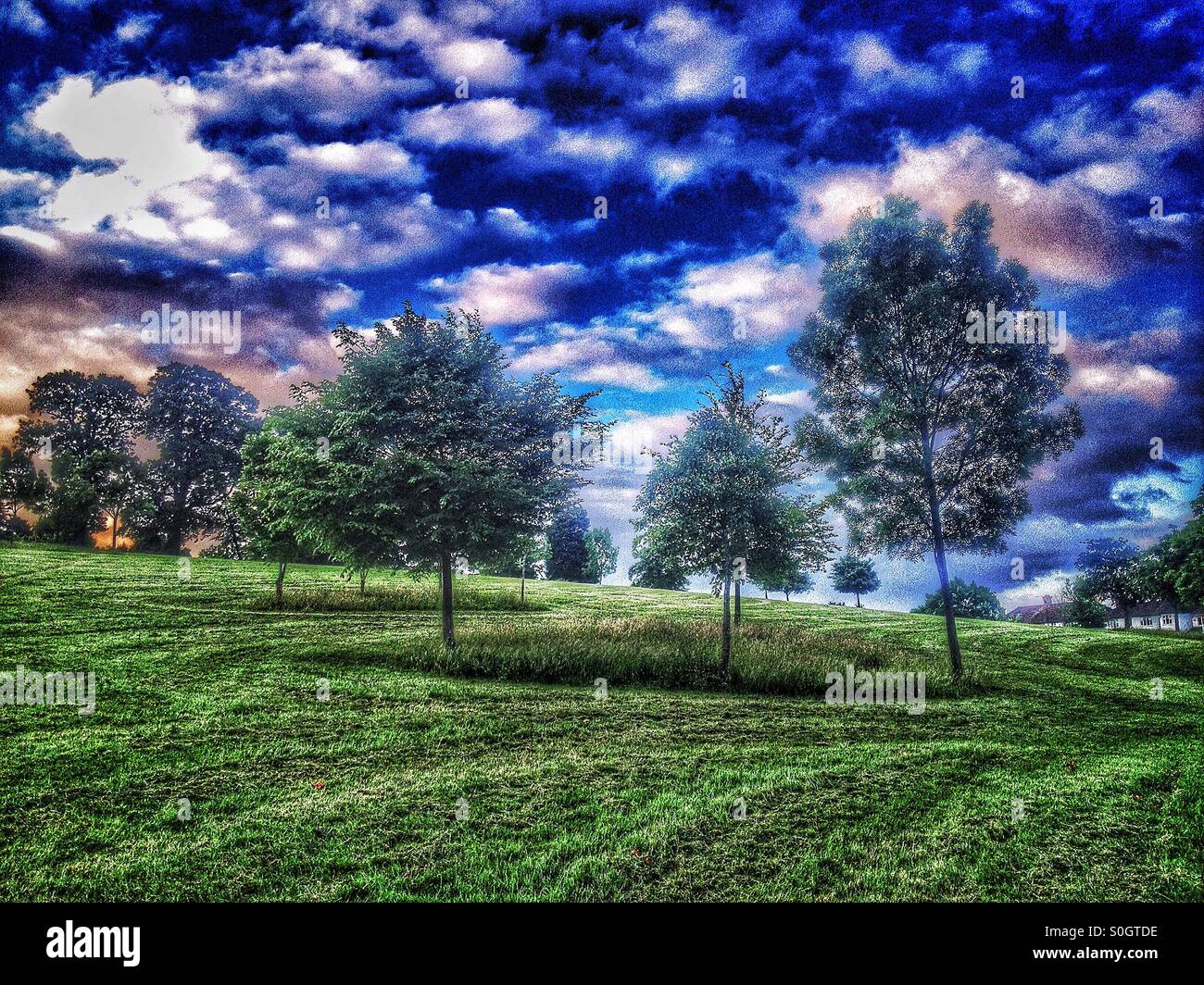 Trees on a hill with cloudy blue sky Stock Photo - Alamy