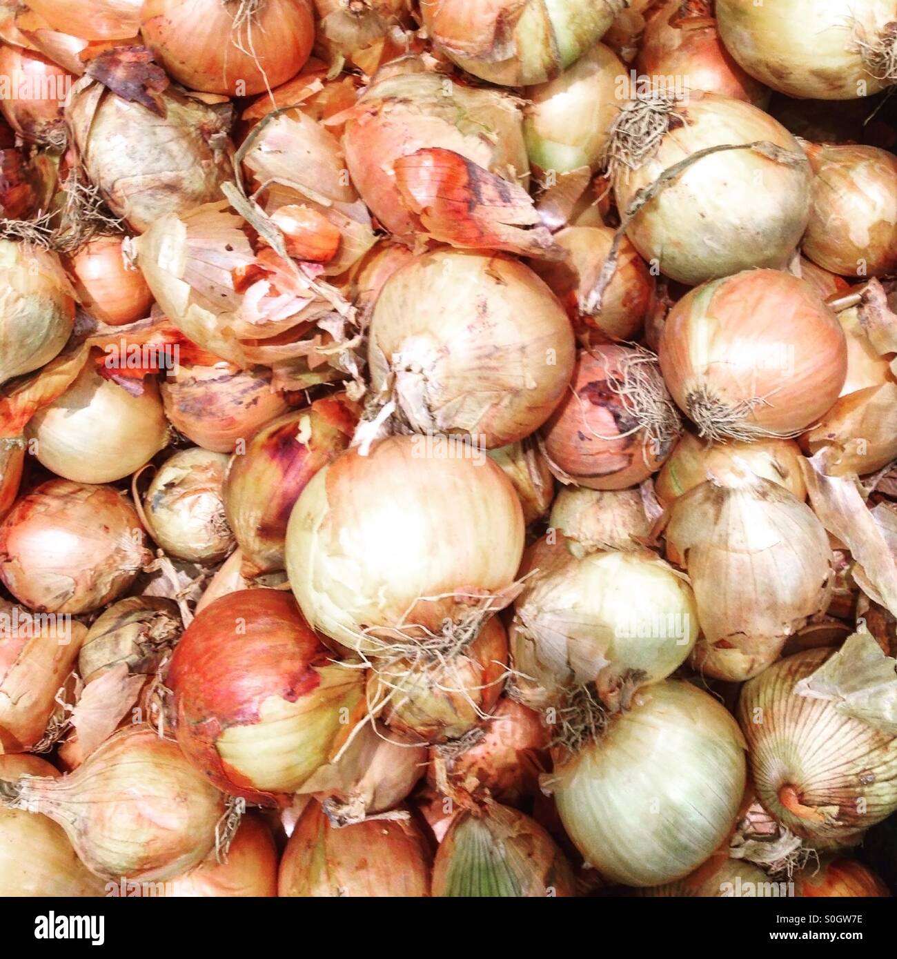 Onions on market Stock Photo